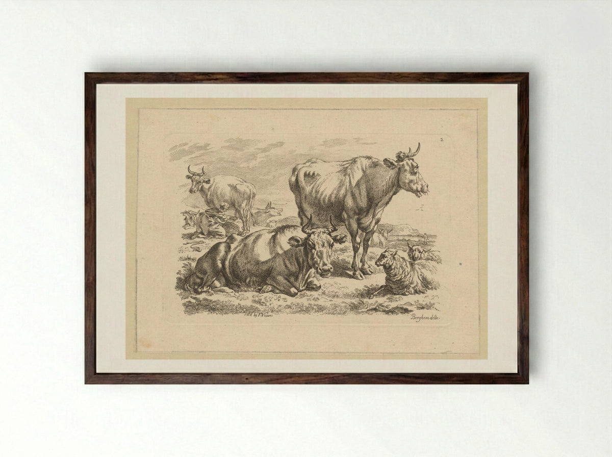 Staande en liggende runderen en een koe die gemolken wordt - François Vivares - Framed Print Dark Wood