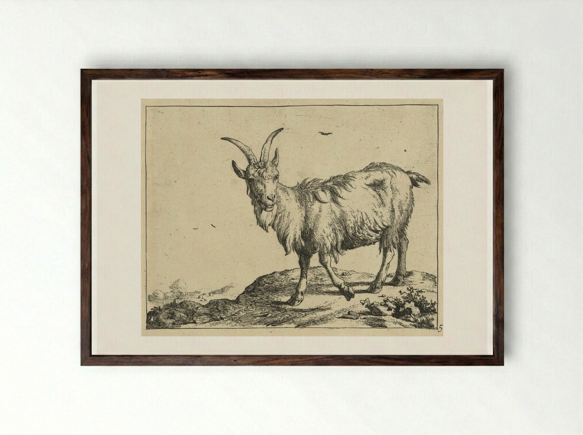 Staande geit van voren - Marcus de Bye - Framed Print Dark Wood