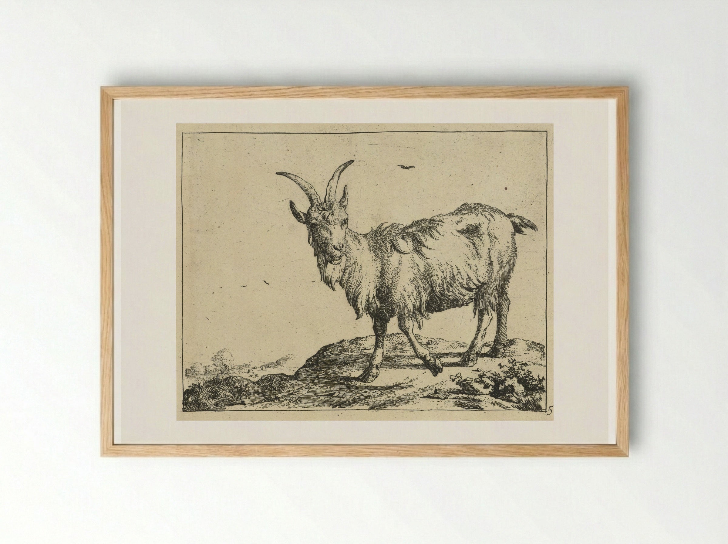Staande geit van voren - Marcus de Bye - Framed Print Wood