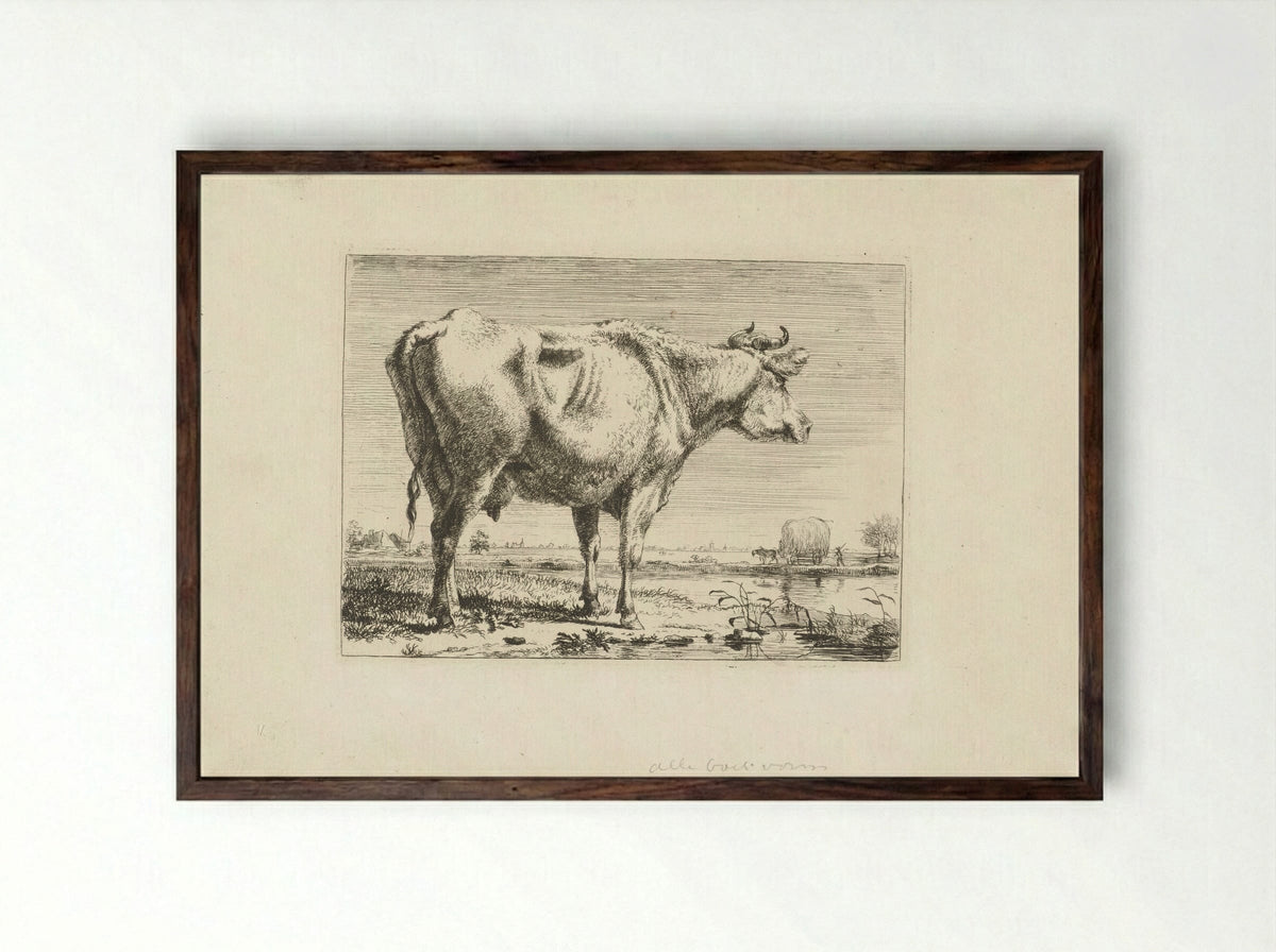 Staande koe (Standing Cow) - Pieter Gerardus van Os - Framed Print Dark Wood