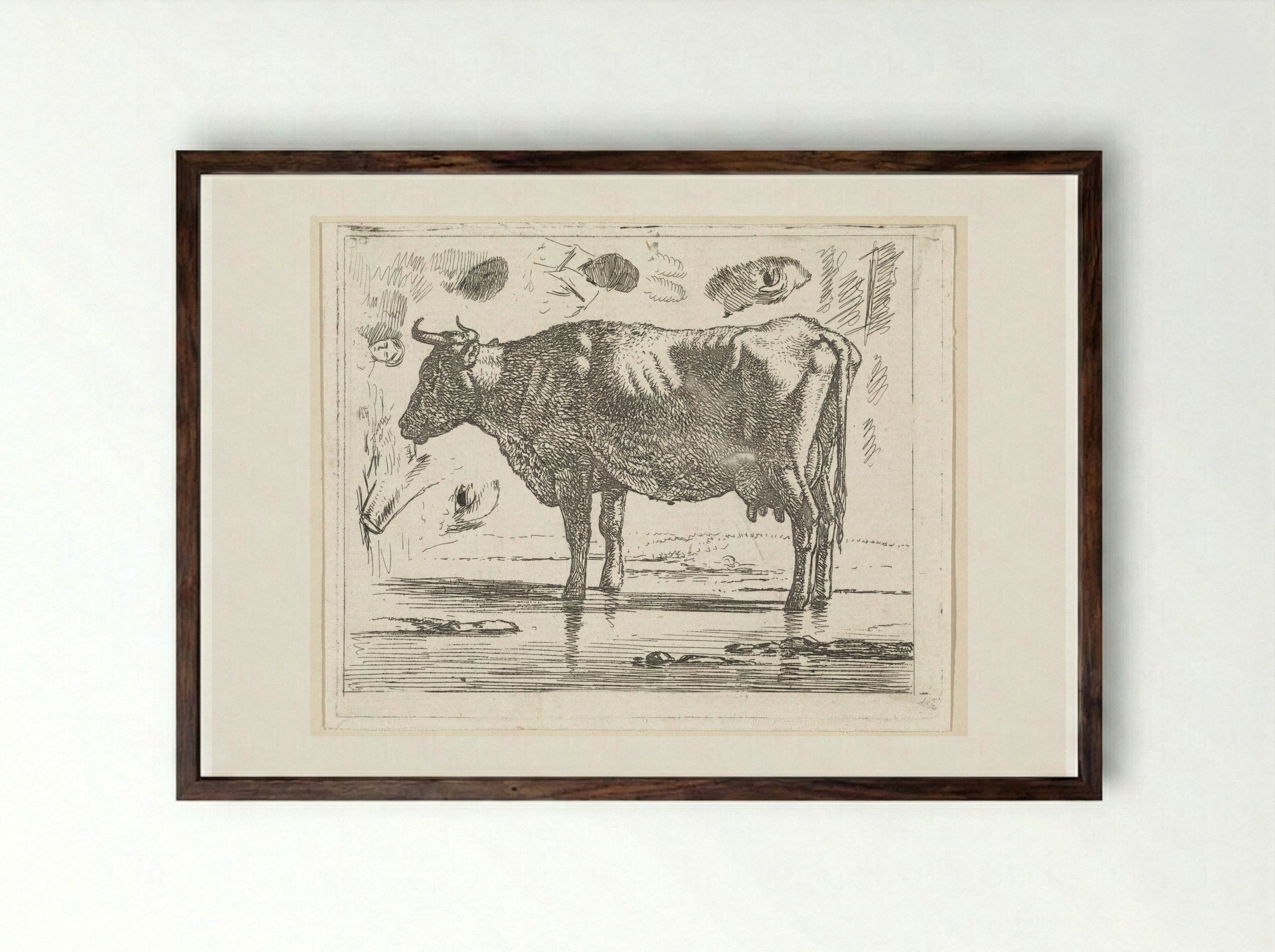 Staande koe in het water - Wouter Johannes van Troostwijk - Framed Print Dark Wood
