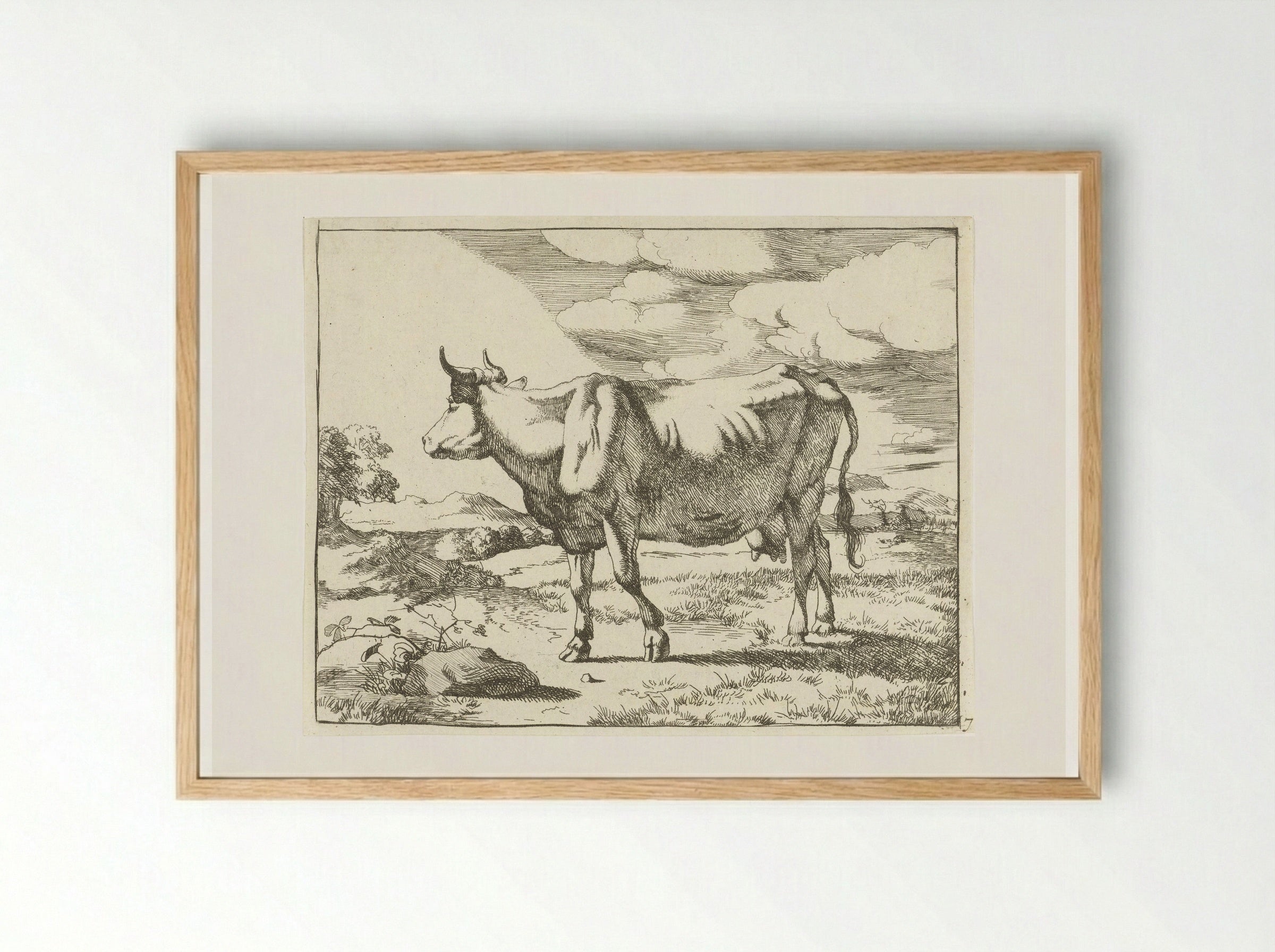 Staande koe naar links - Marcus de Bye - Framed Print Wood