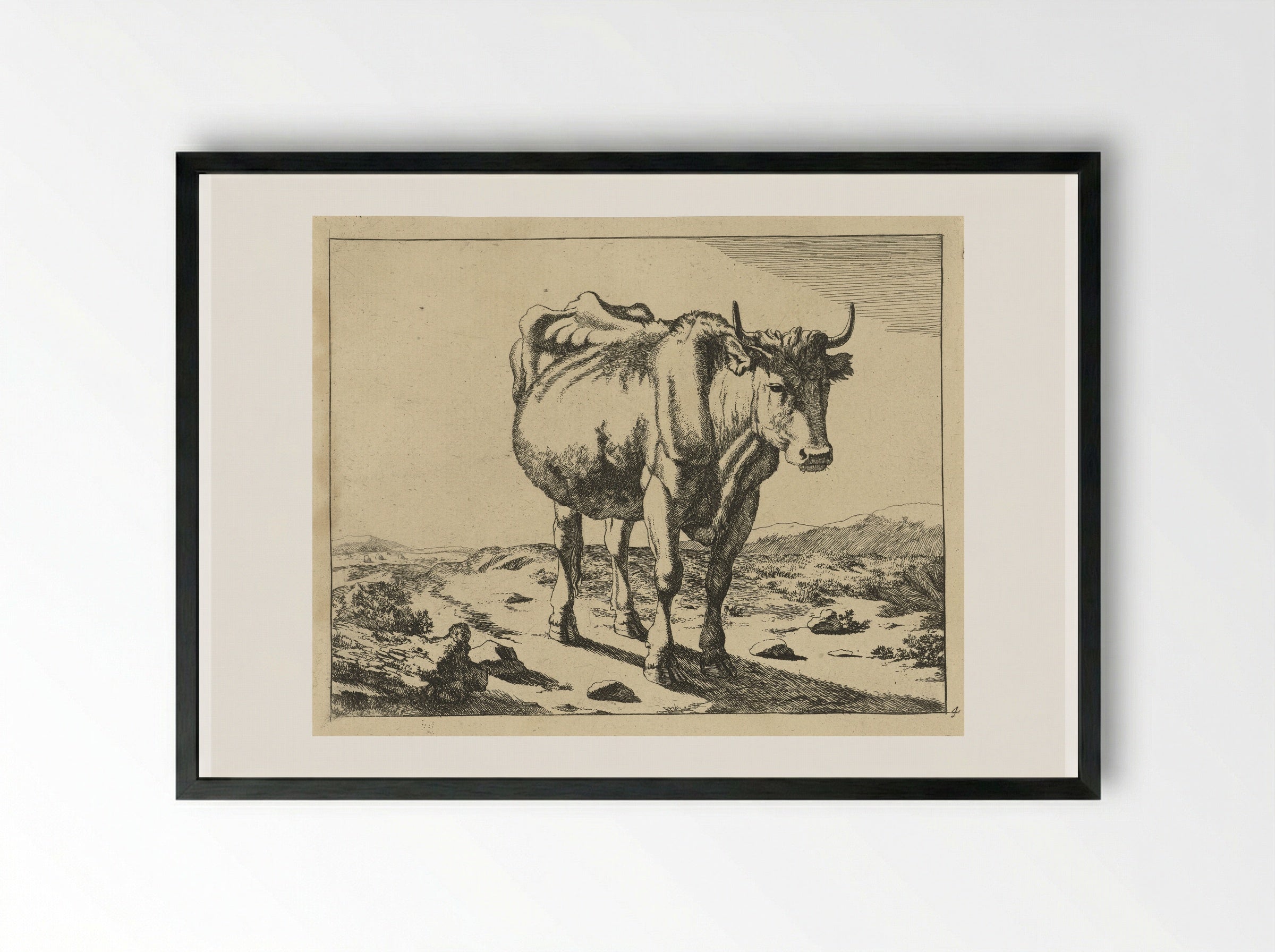 Staande koe, van voren gezien - Marcus de Bye - Framed Print Black