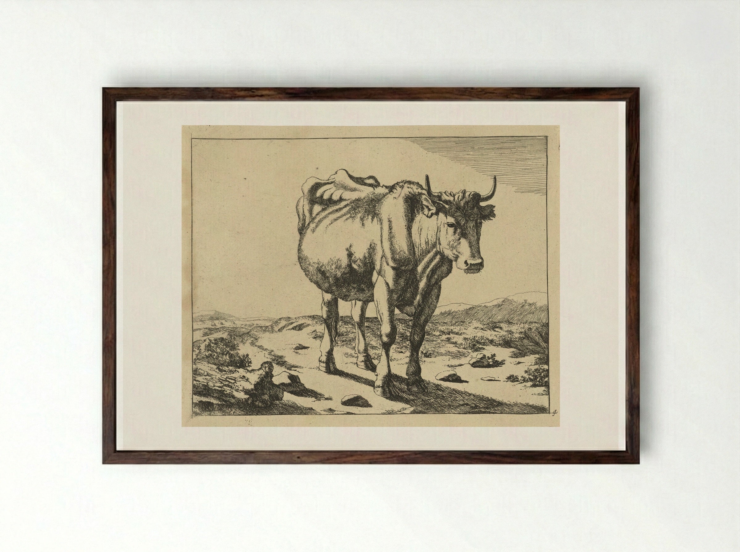 Staande koe, van voren gezien - Marcus de Bye - Framed Print Dark Wood