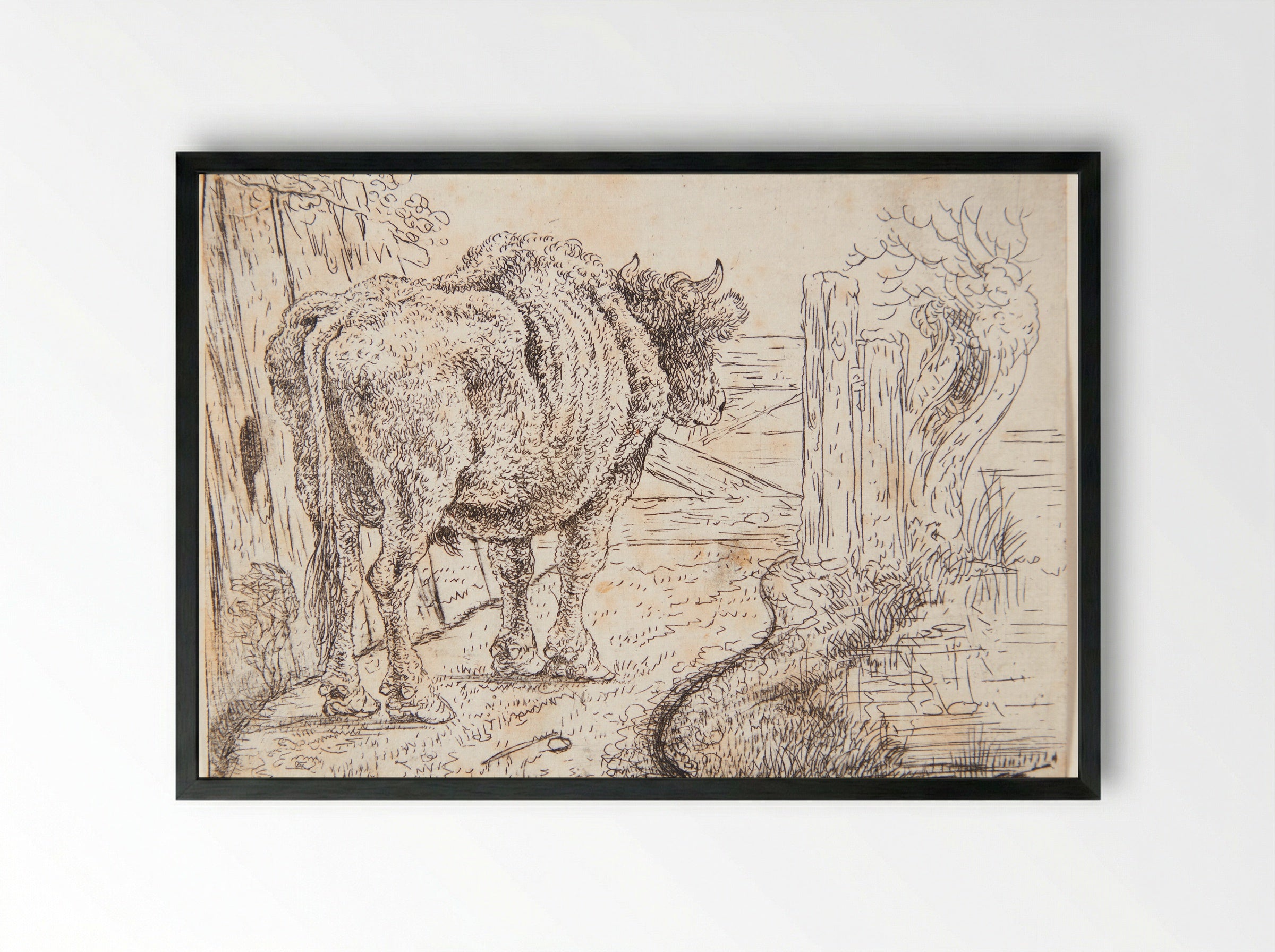 Staande stier - Jan Jansz. den Uyl (II) - Framed Print Black