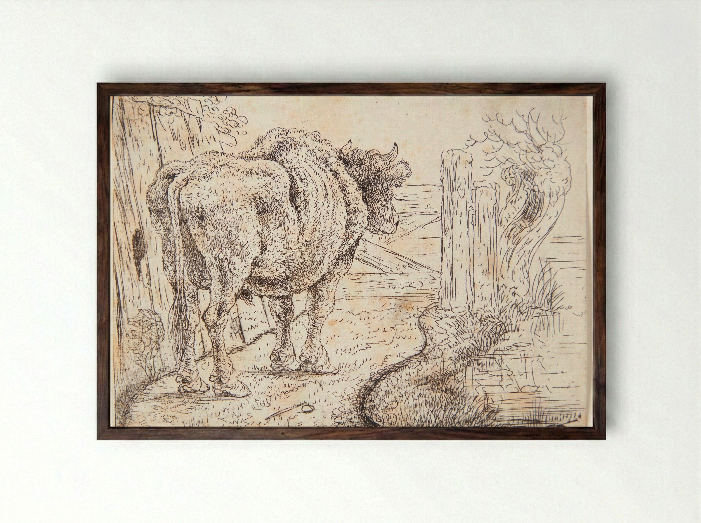 Staande stier - Jan Jansz. den Uyl (II) - Framed Print Dark Wood