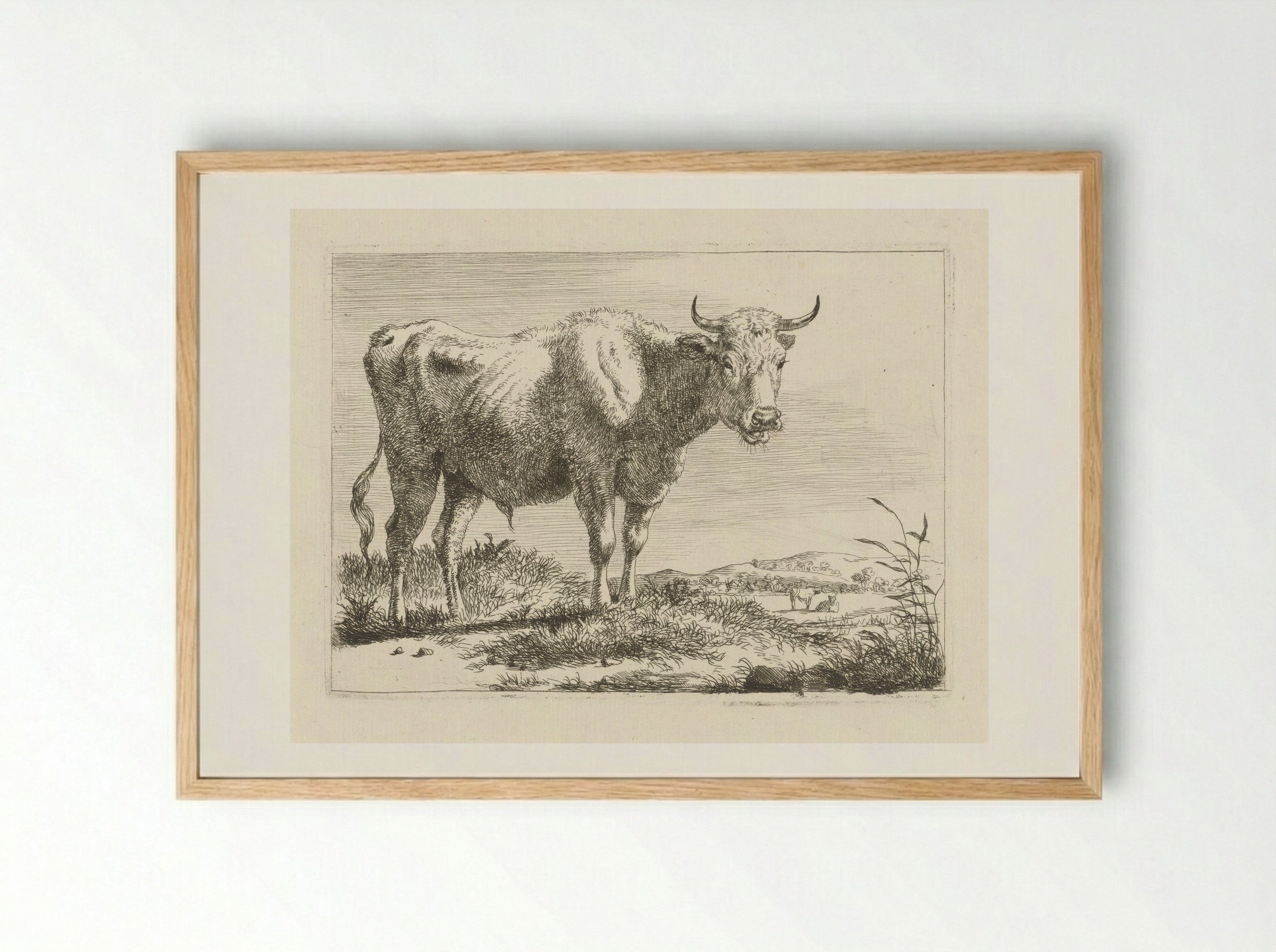Staande stier - Pieter Gerardus van Os - Framed Print Wood