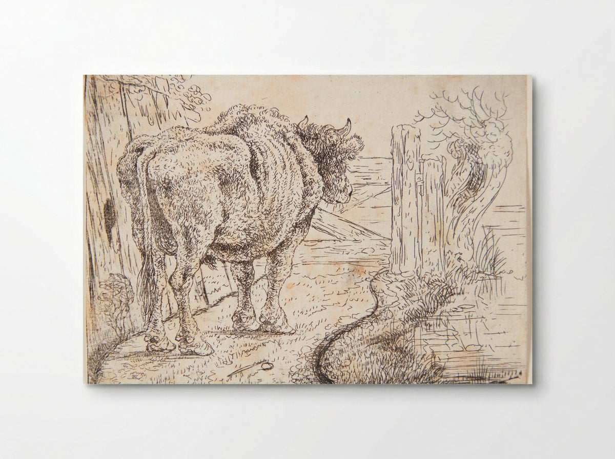 Staande stier - Jan Jansz. den Uyl (II) - Poster