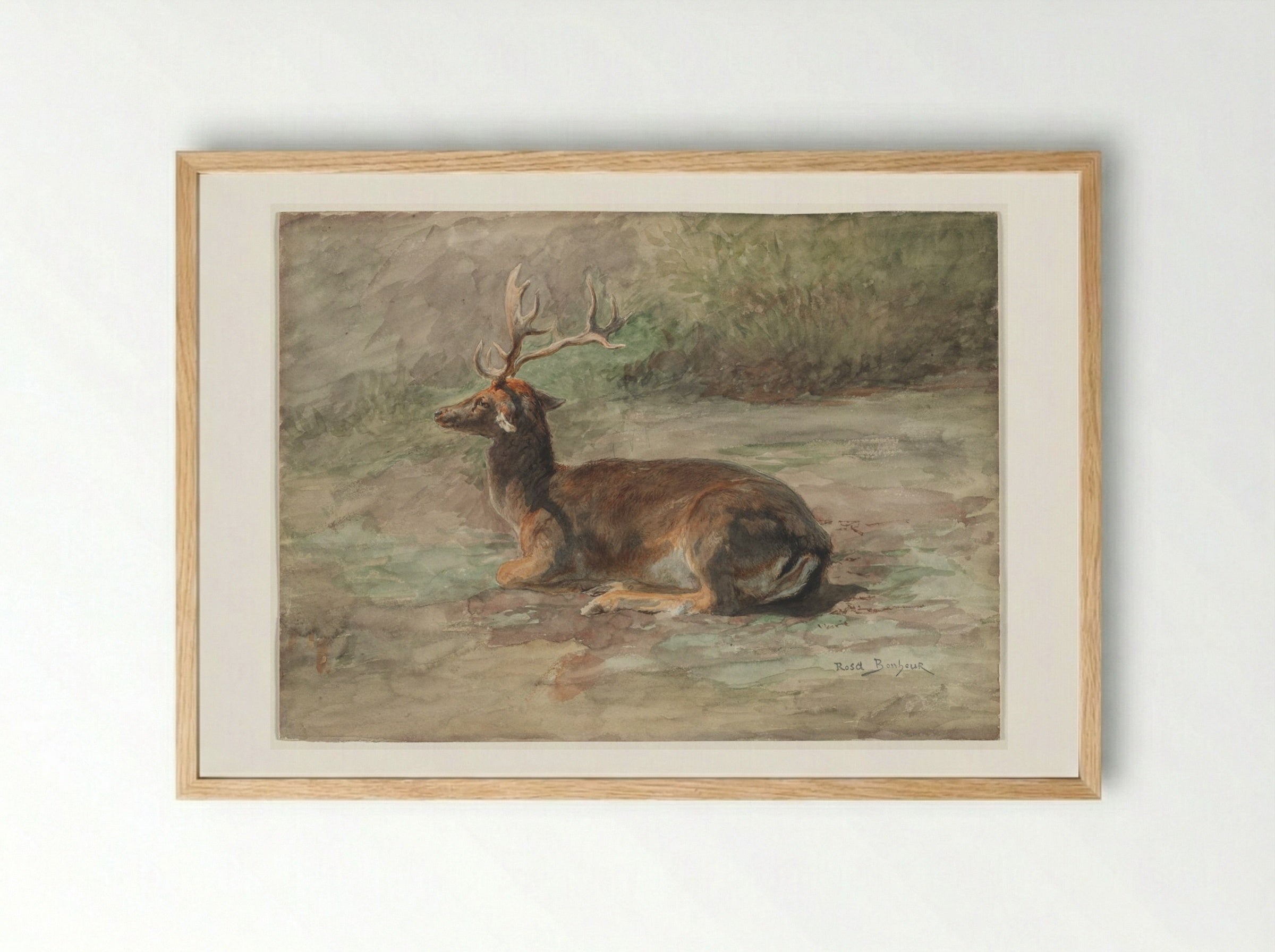 Stag Lying Down - Rosa Bonheur - Framed Print Wood