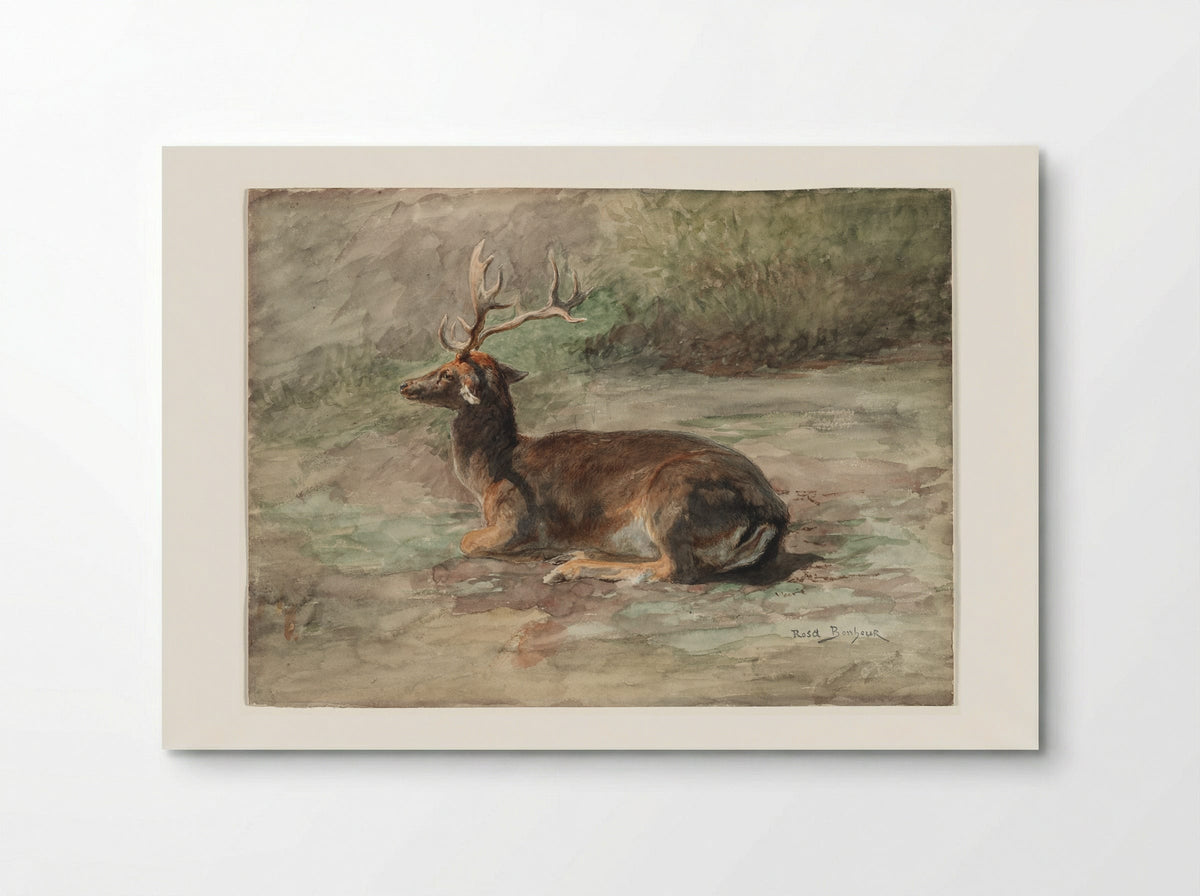 Stag Lying Down - Rosa Bonheur - Poster