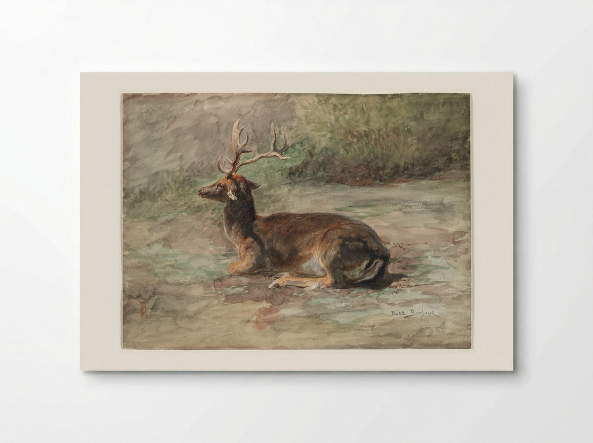 Stag Lying Down - Rosa Bonheur - Poster