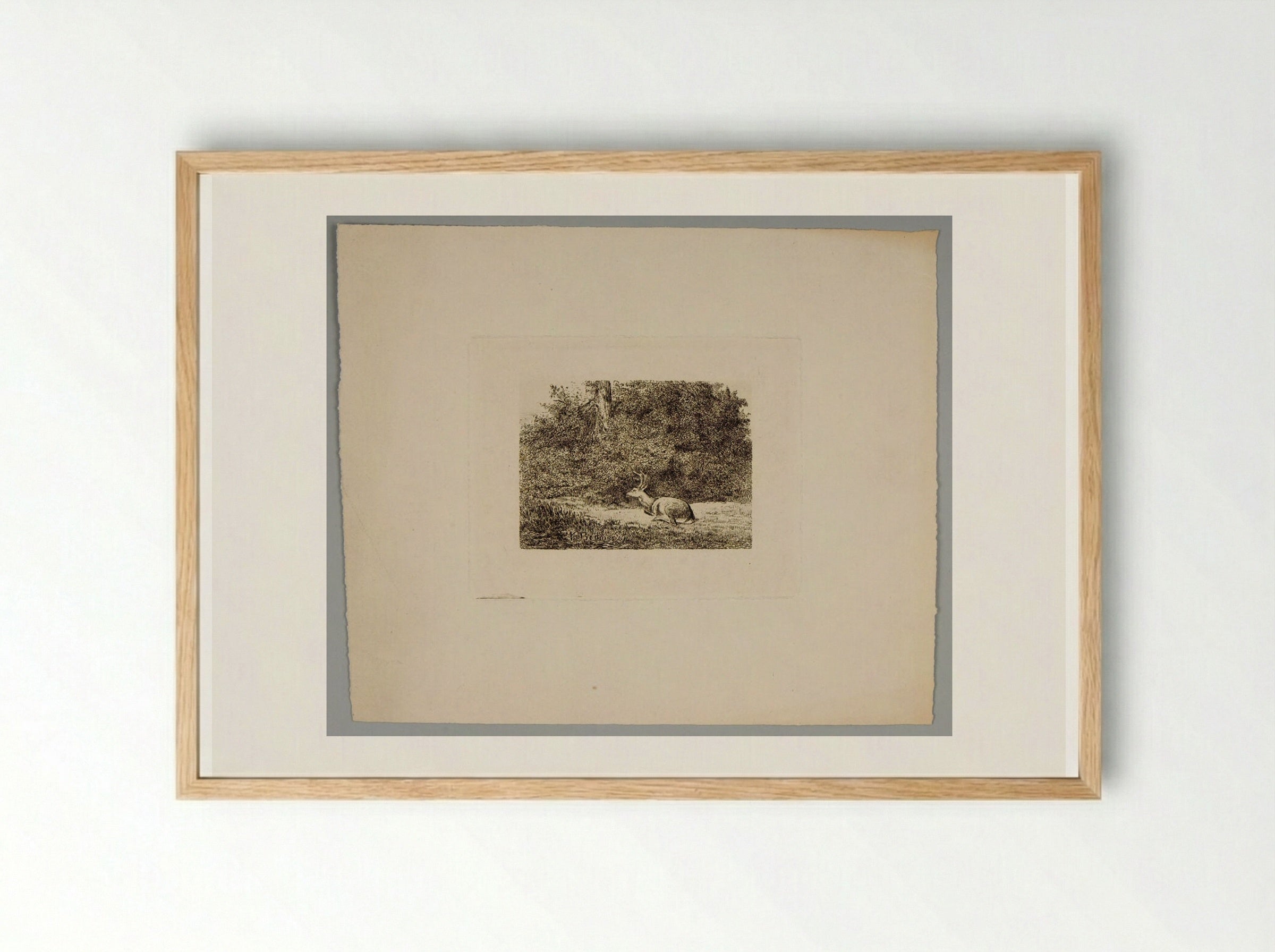 Stag Resting - Karl Bodmer - Framed Print Wood