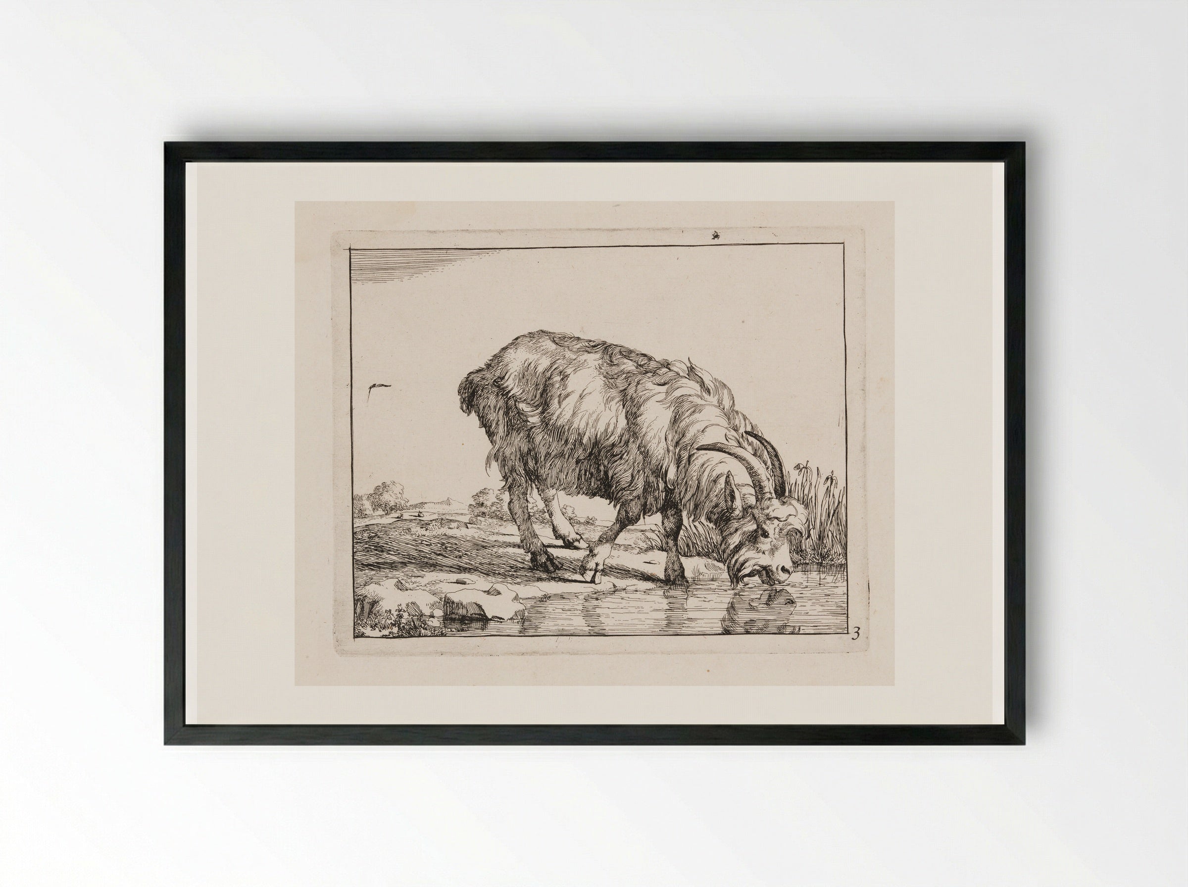 Standing Goat, Drinking from a Stream - Marcus de Bye - Framed Print Black