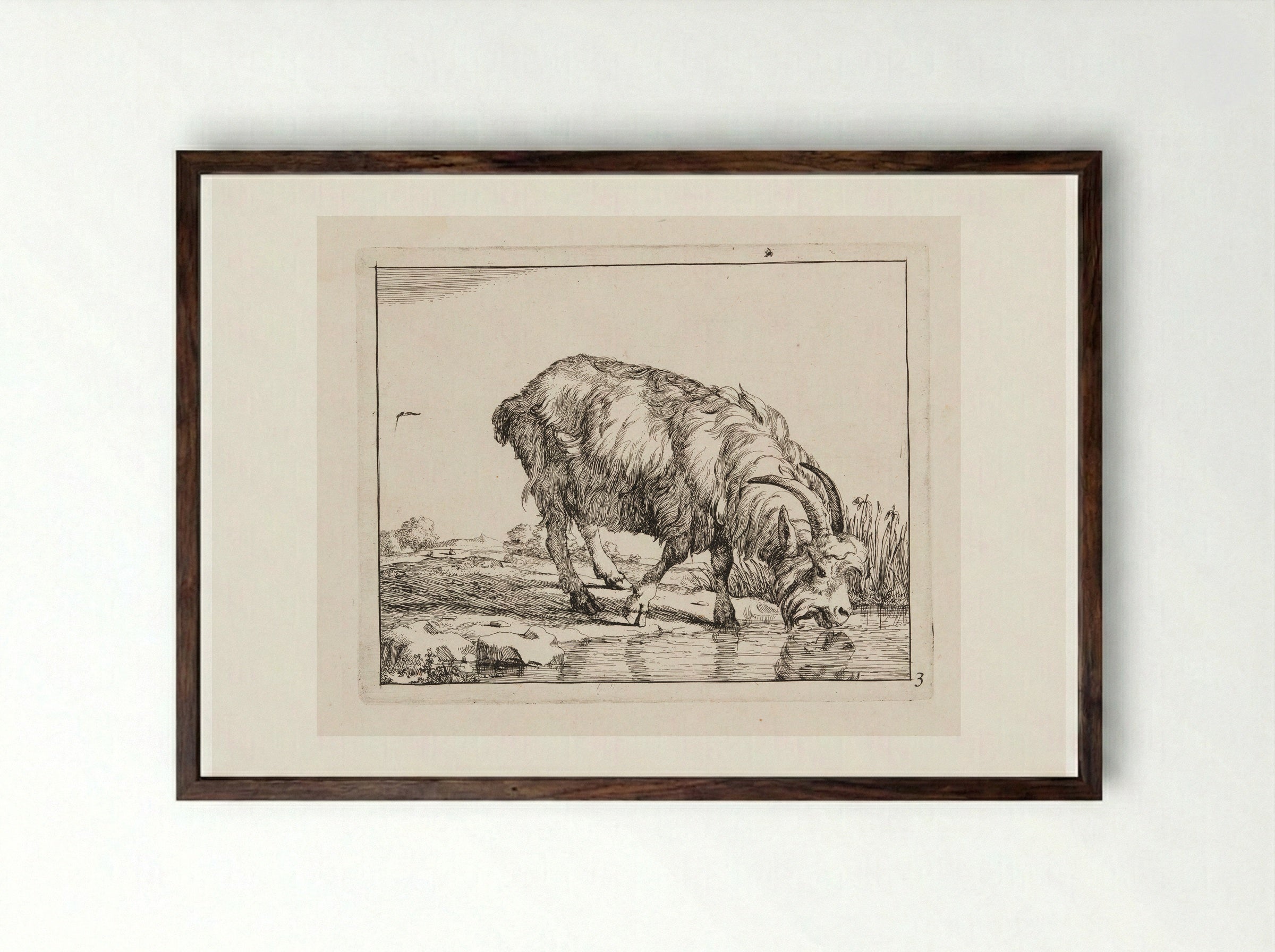 Standing Goat, Drinking from a Stream - Marcus de Bye - Framed Print Dark Wood