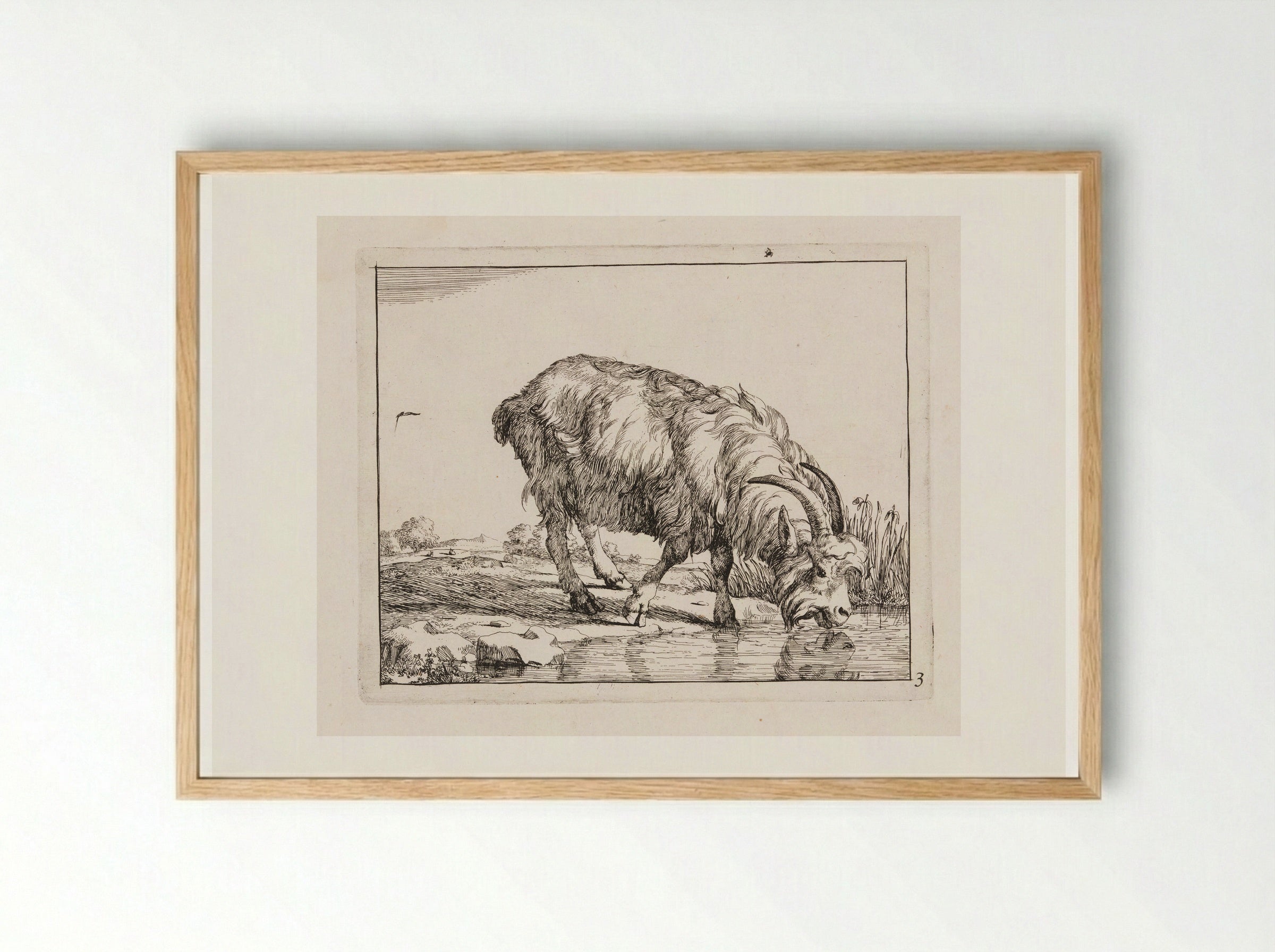 Standing Goat, Drinking from a Stream - Marcus de Bye - Framed Print Wood