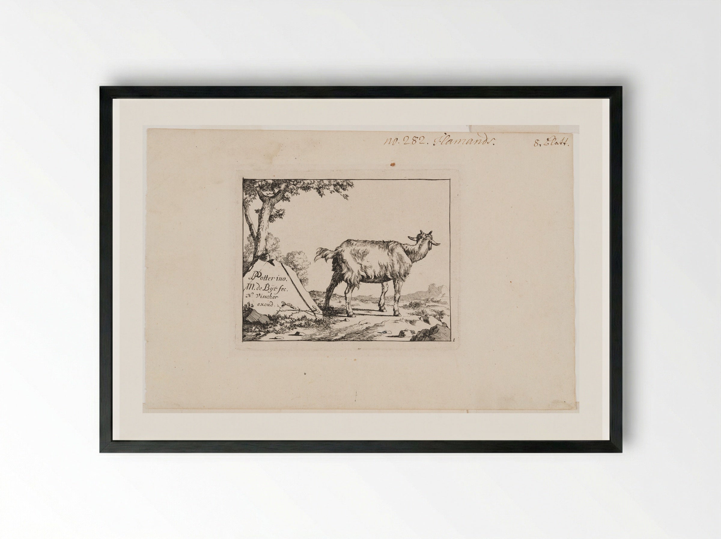 Standing Goat - Marcus de Bye - Framed Print Black
