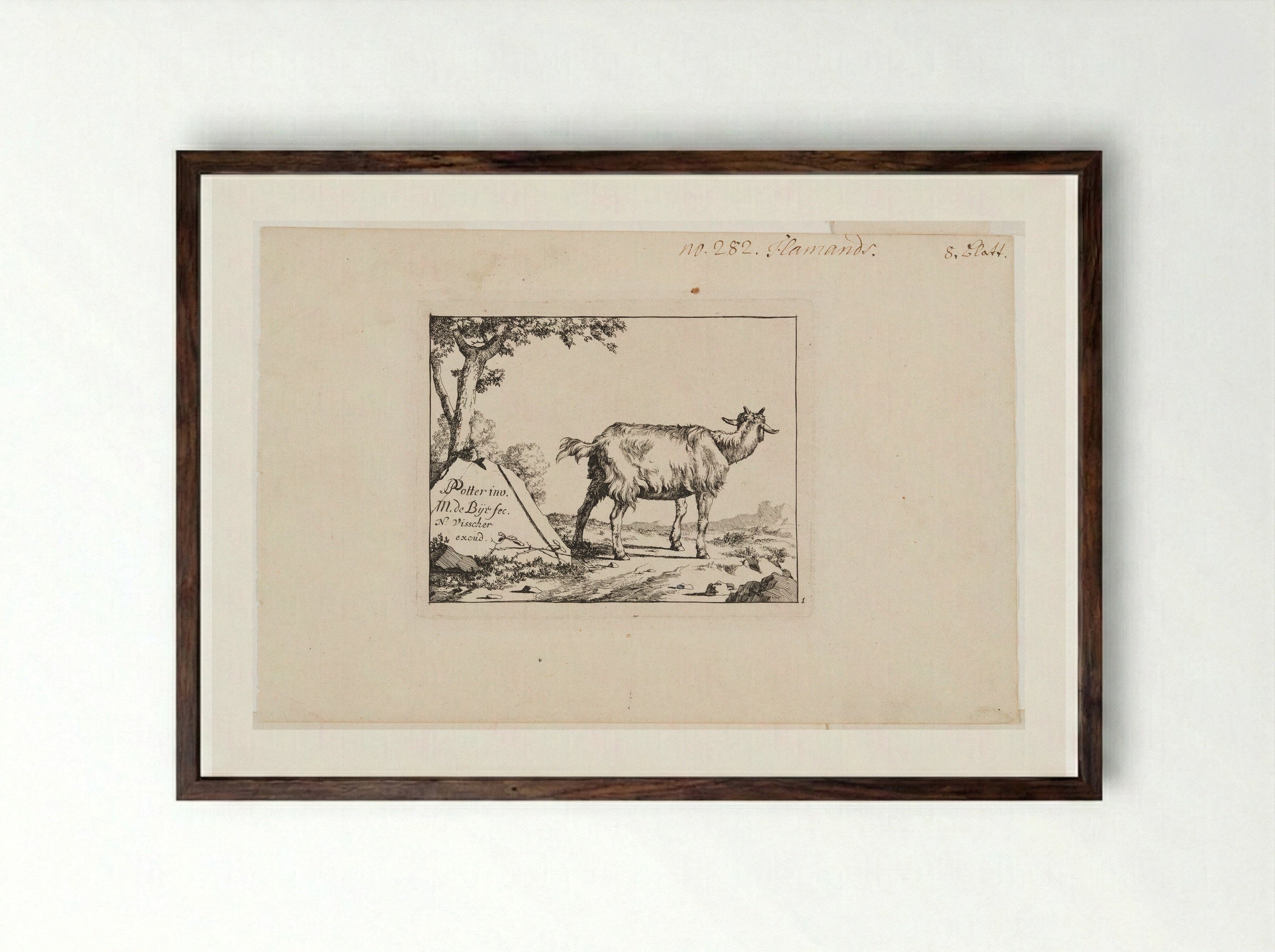 Standing Goat - Marcus de Bye - Framed Print Dark Wood