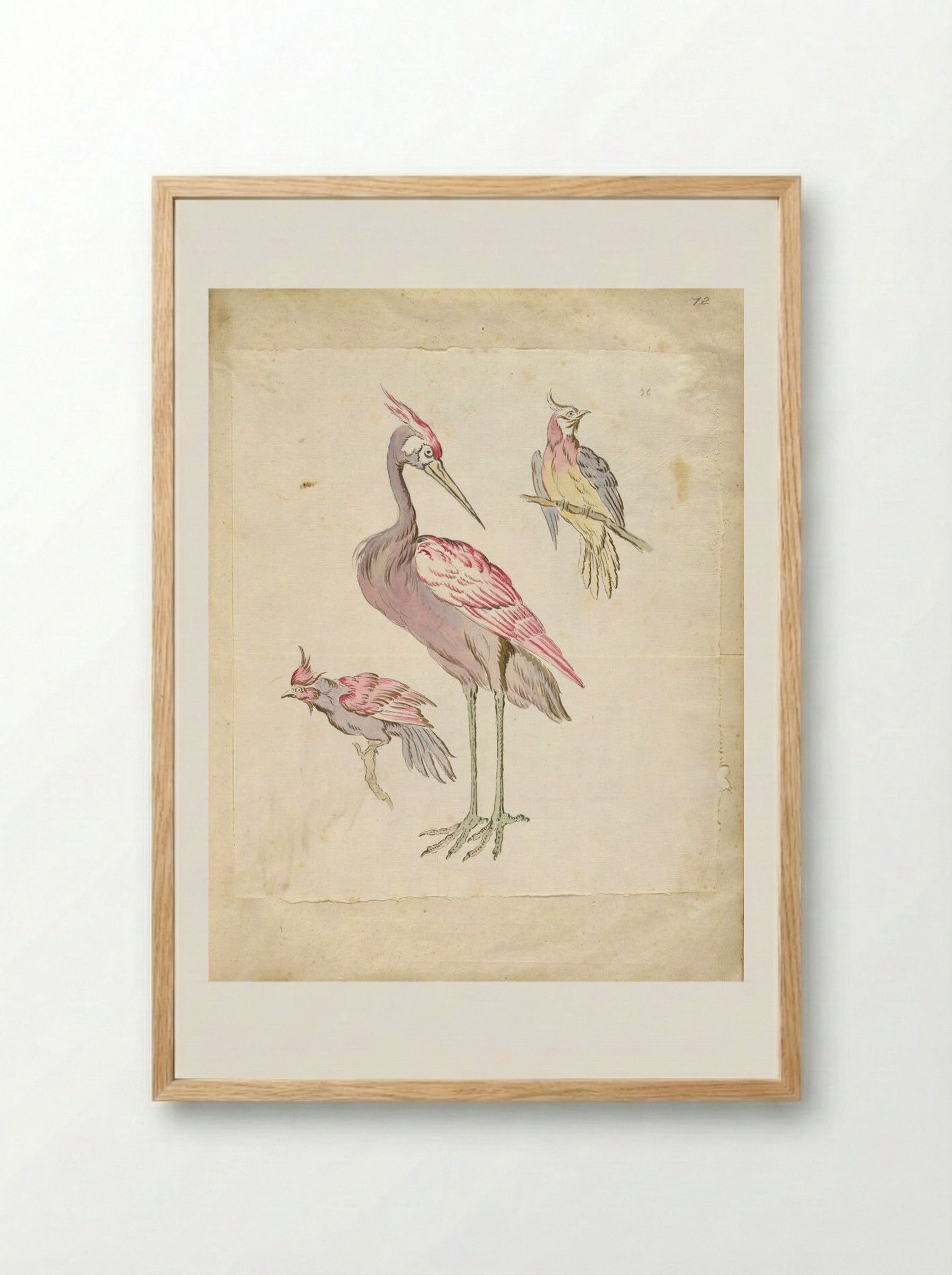 Standing Heron and Two Perched Birds - Jean-Baptiste Oudry - Framed Print Wood