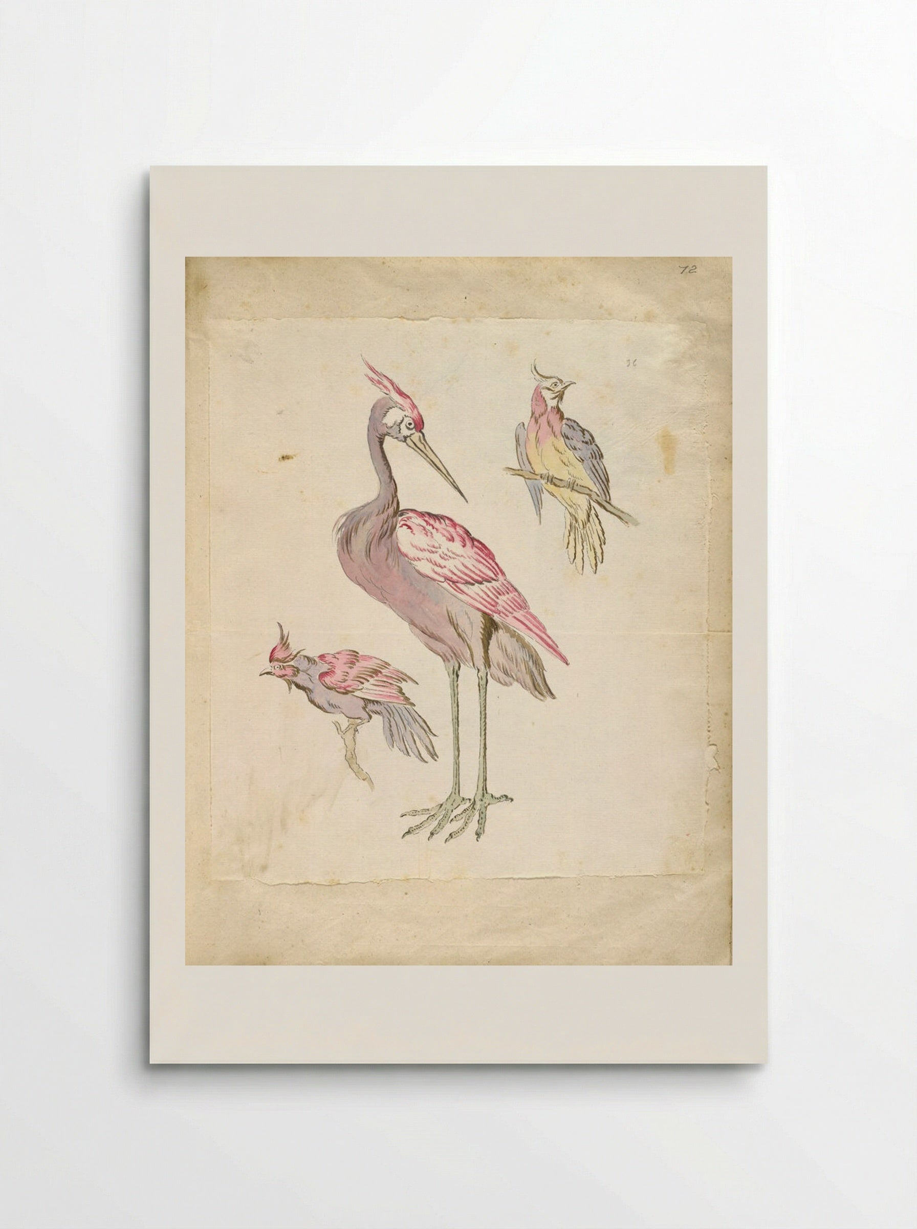 Standing Heron and Two Perched Birds - Jean-Baptiste Oudry - Poster