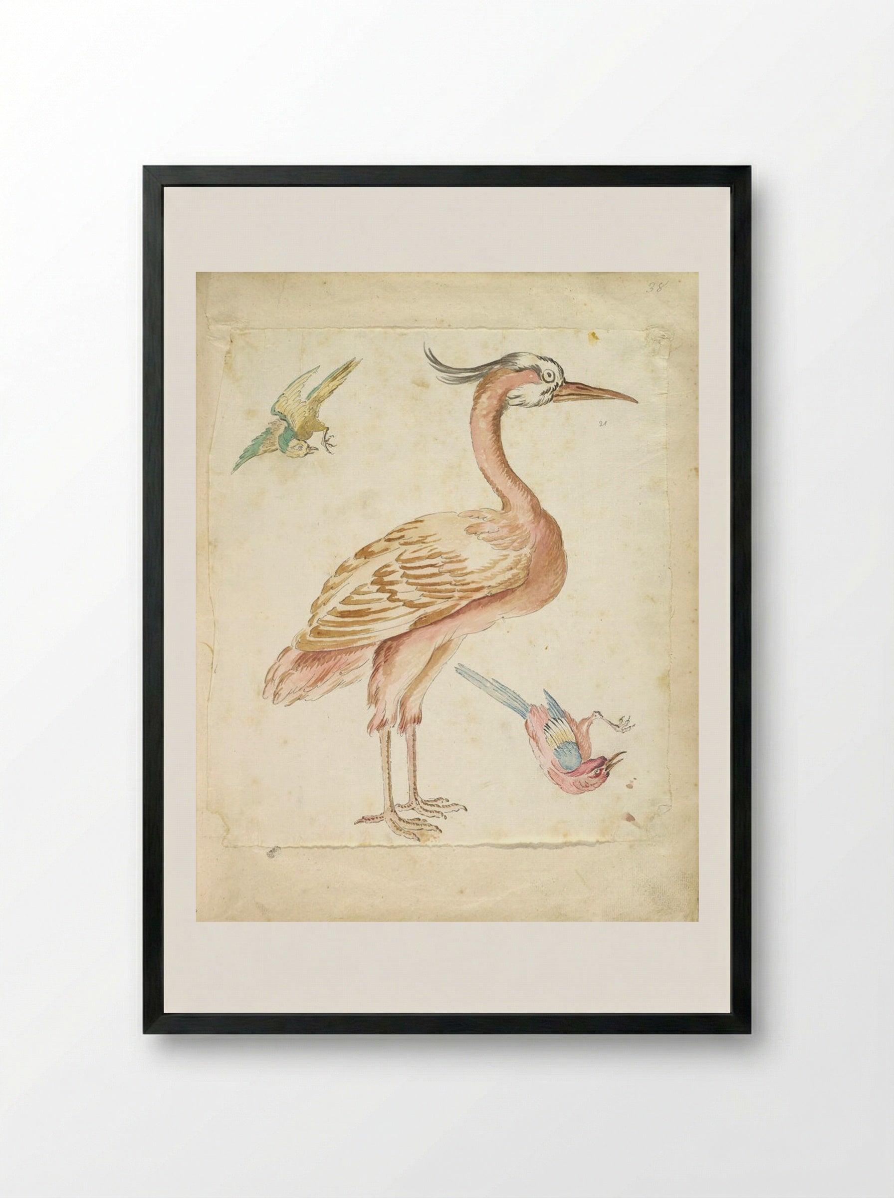Standing Heron and Two Small Birds - Jean-Baptiste Oudry - Framed Print Black