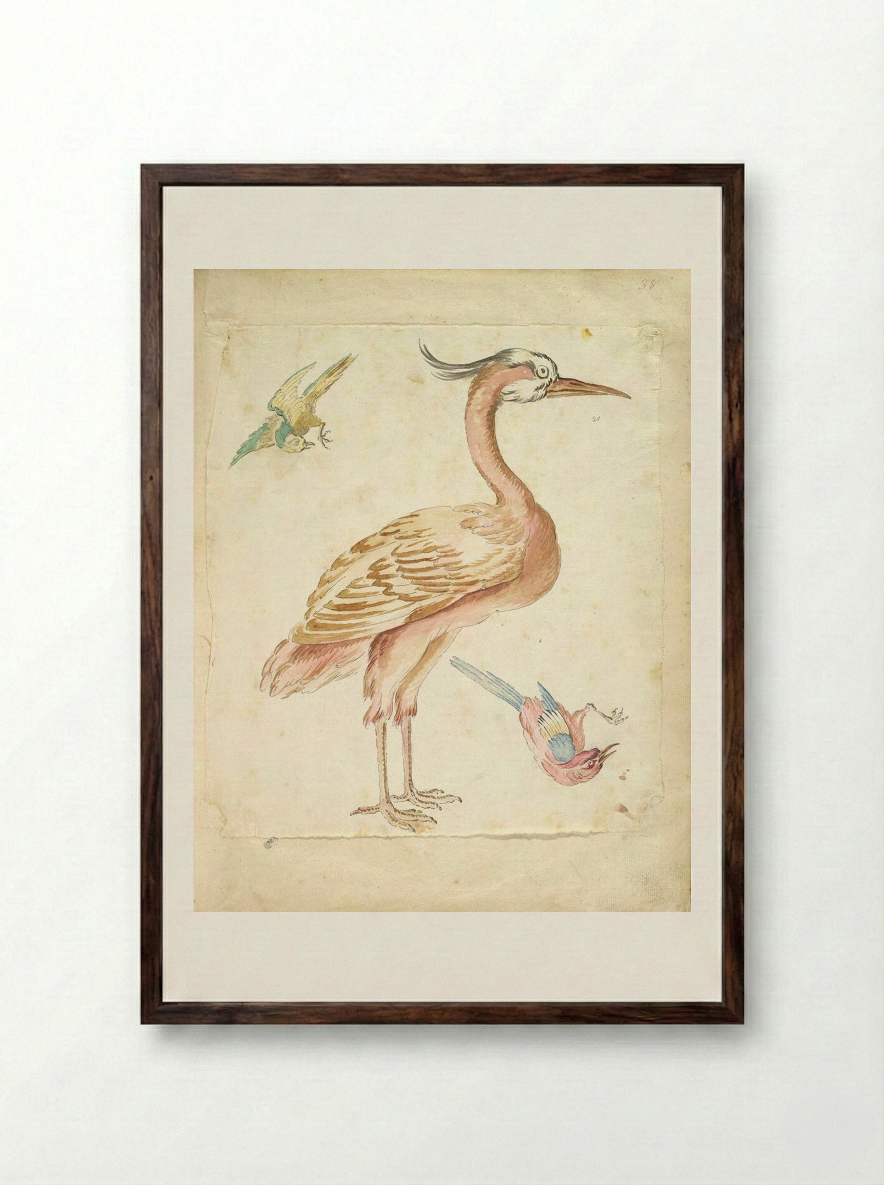 Standing Heron and Two Small Birds - Jean-Baptiste Oudry - Framed Print Dark Wood