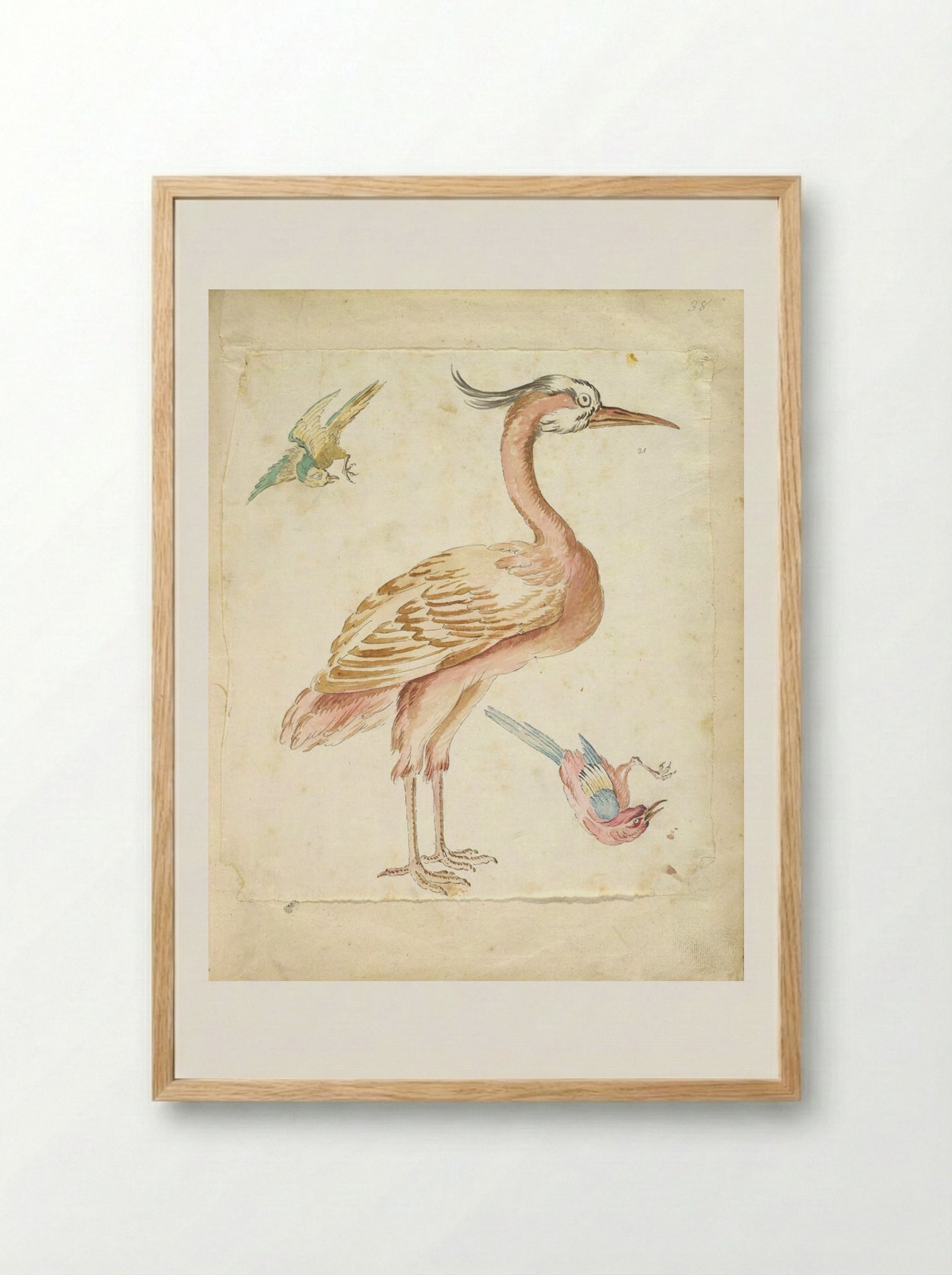 Standing Heron and Two Small Birds - Jean-Baptiste Oudry - Framed Print Wood