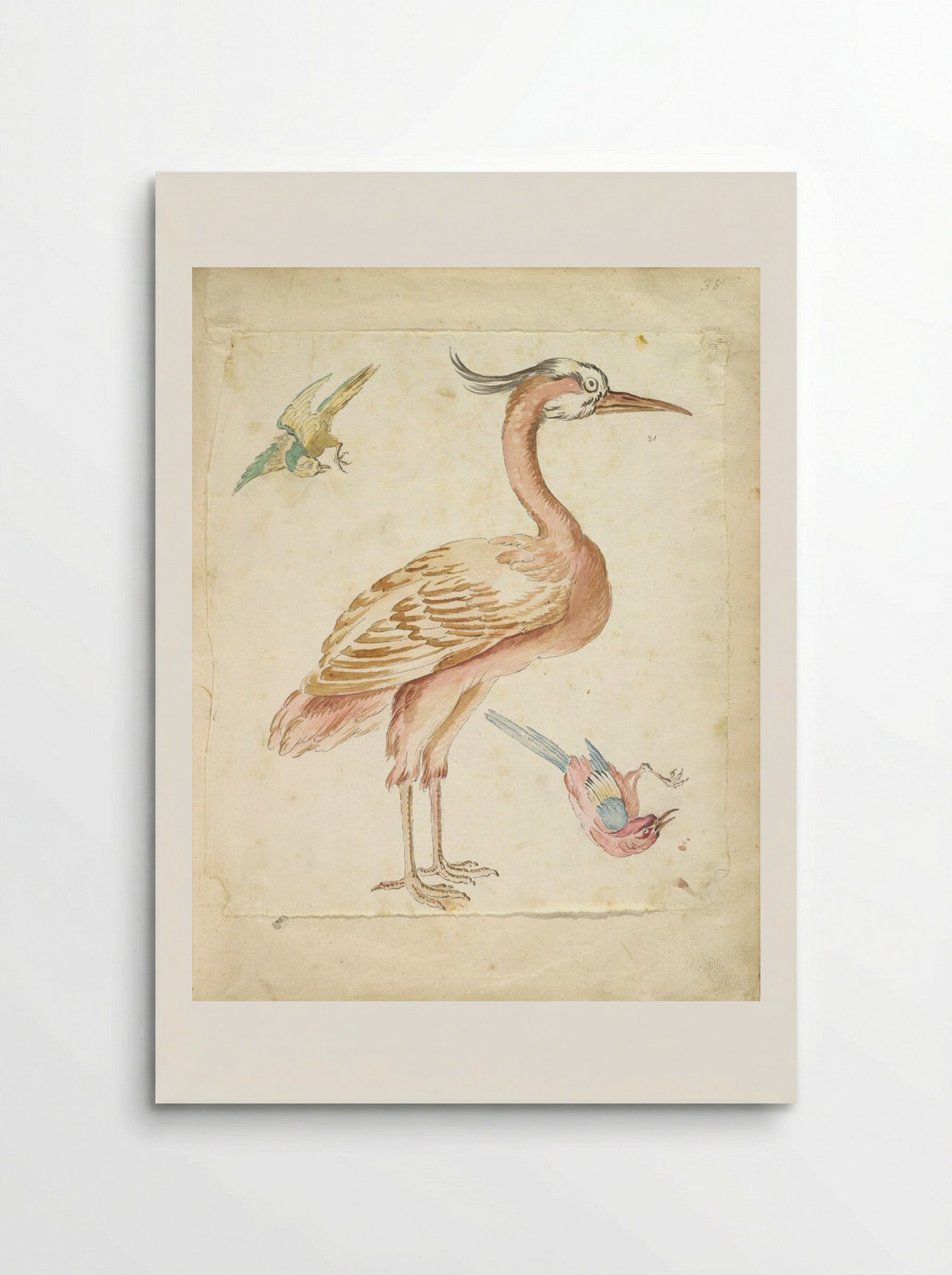 Standing Heron and Two Small Birds - Jean-Baptiste Oudry - Poster