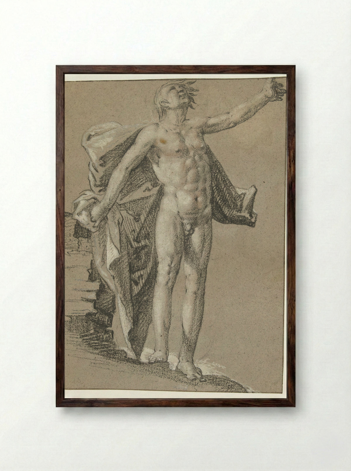 Standing Male Nude with Floating Drapery - Cornelis Cornelisz. van Haarlem - Framed Print Dark Wood