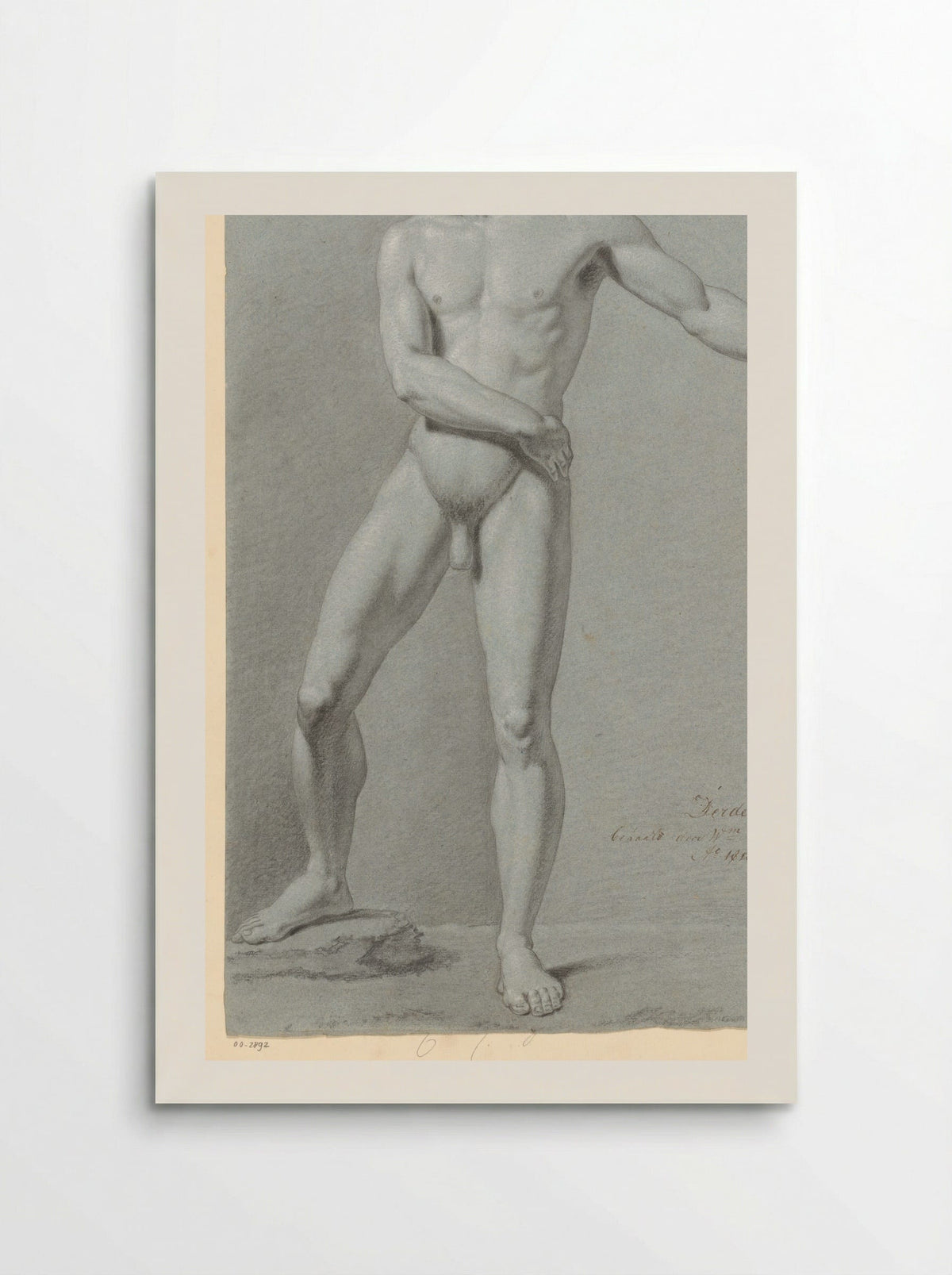 Standing Male Nude - Willem Grebner - Poster