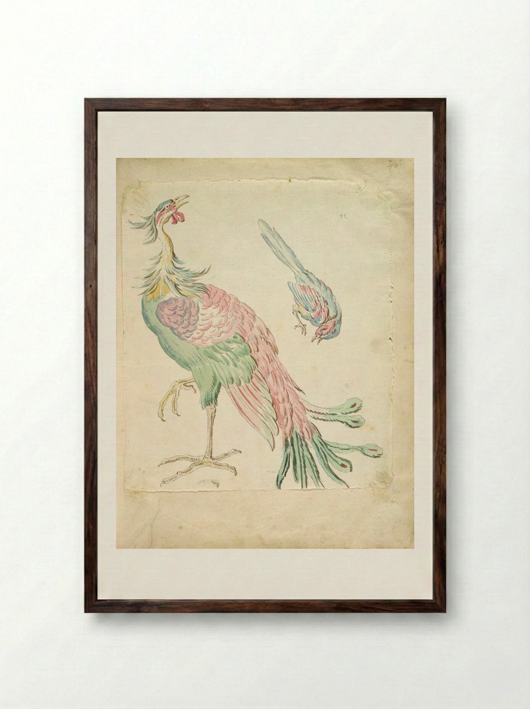 Standing Peacock and Small Perched Bird - Jean-Baptiste Oudry - Framed Print Dark Wood