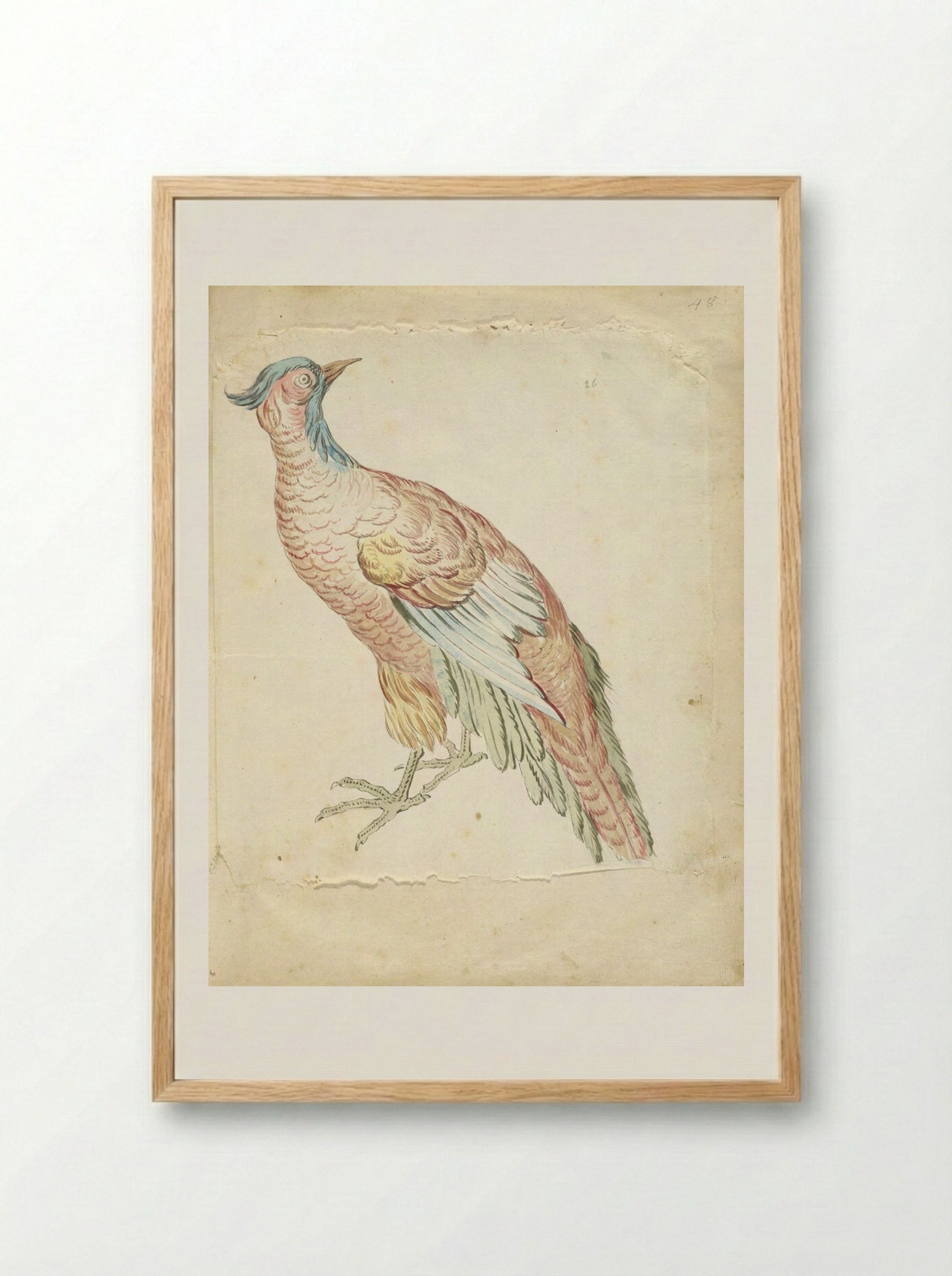Standing Pheasant - Jean-Baptiste Oudry - Framed Print Wood