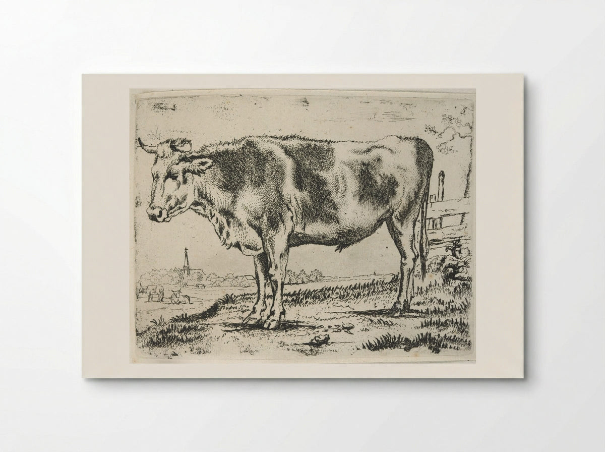 Standing Steer, Facing Left - Paulus Potter - Poster
