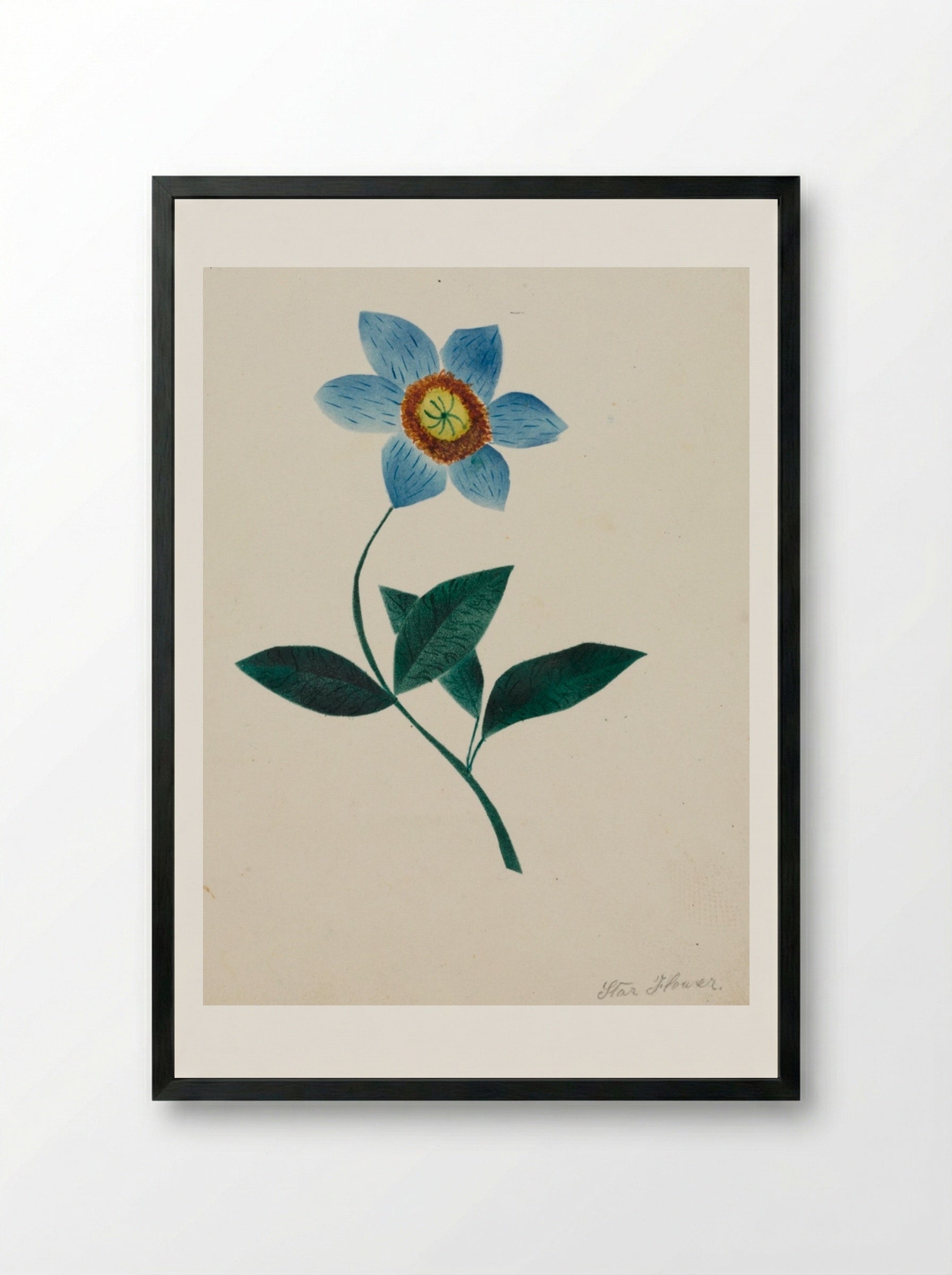 Star Flower - Mary Altha Nims - Framed Print Black