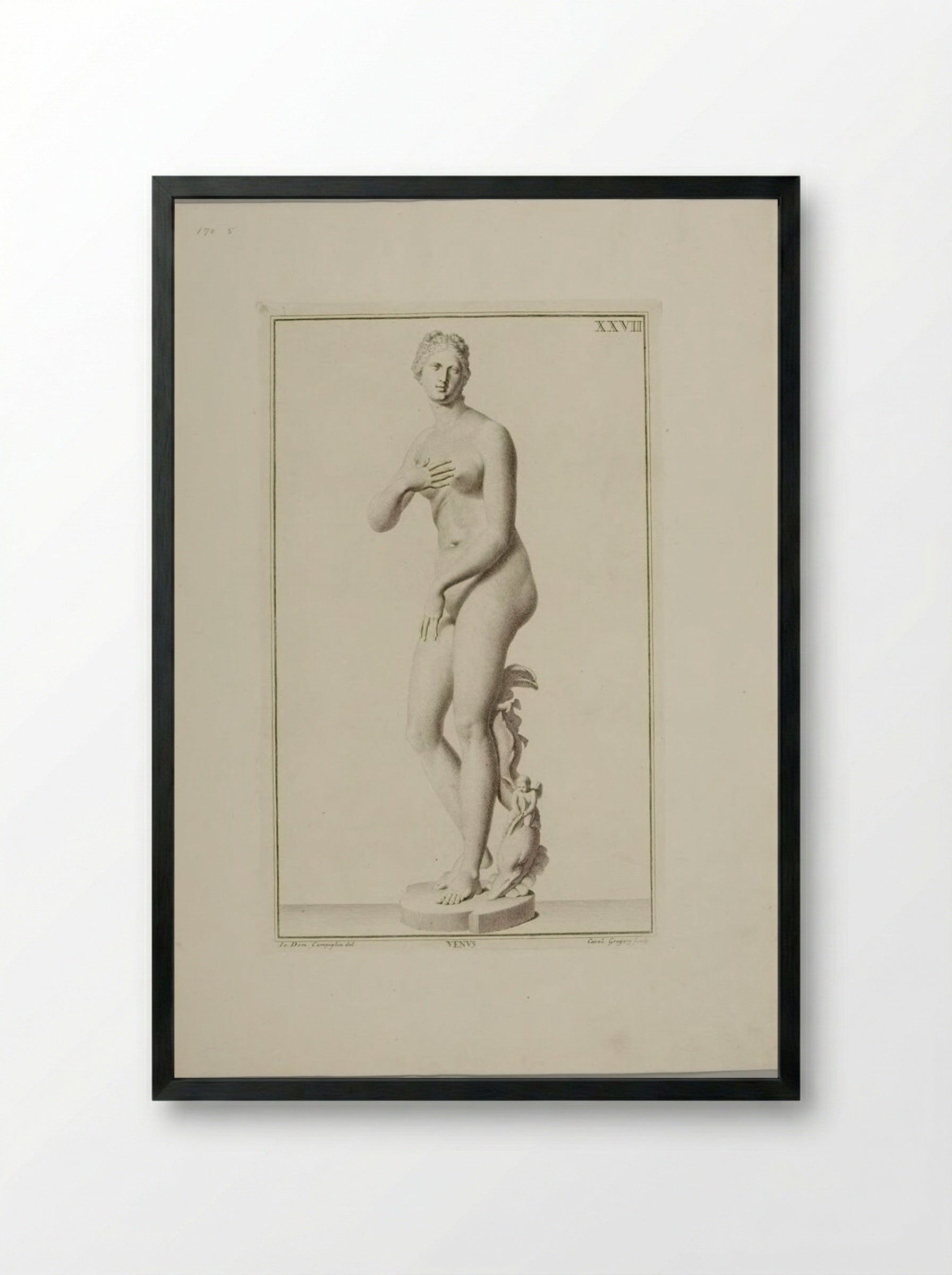 Statue of Venus - Carlo Gregori - Framed Print Black