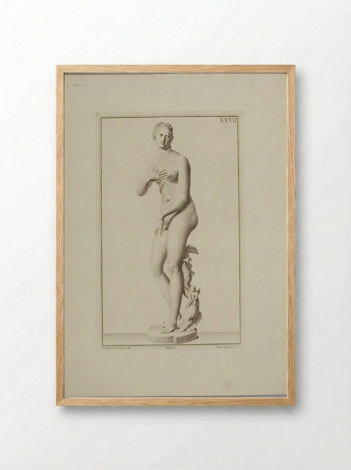 Statue of Venus - Carlo Gregori - Framed Print Wood
