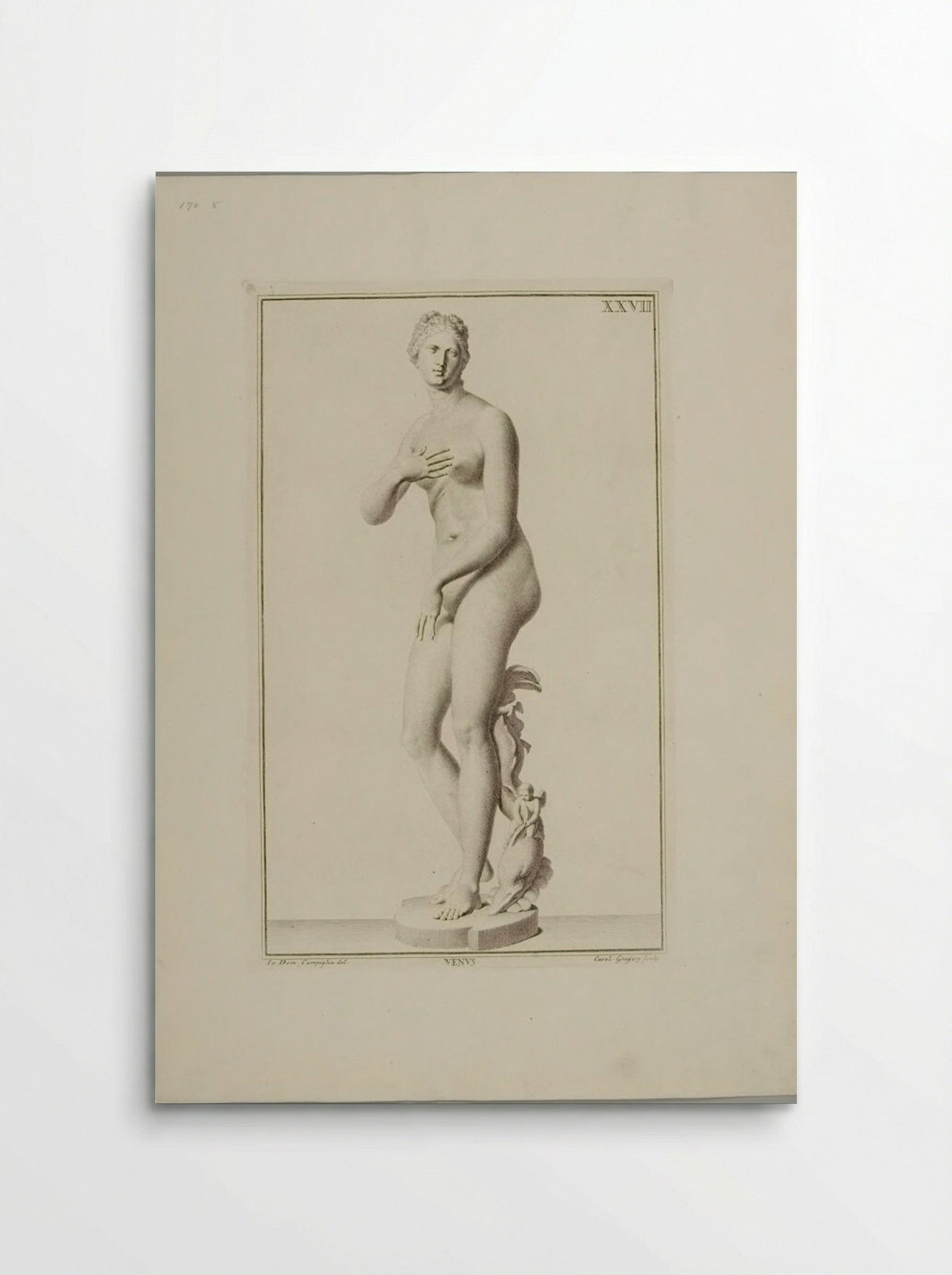 Statue of Venus - Carlo Gregori - Poster