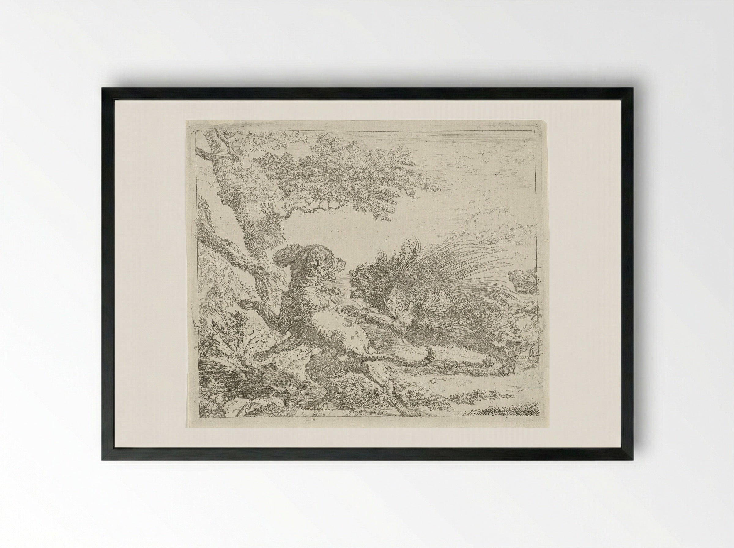 Stekelvarken door honden aangevallen - Abraham Daniëlsz. Hondius - Framed Print Black