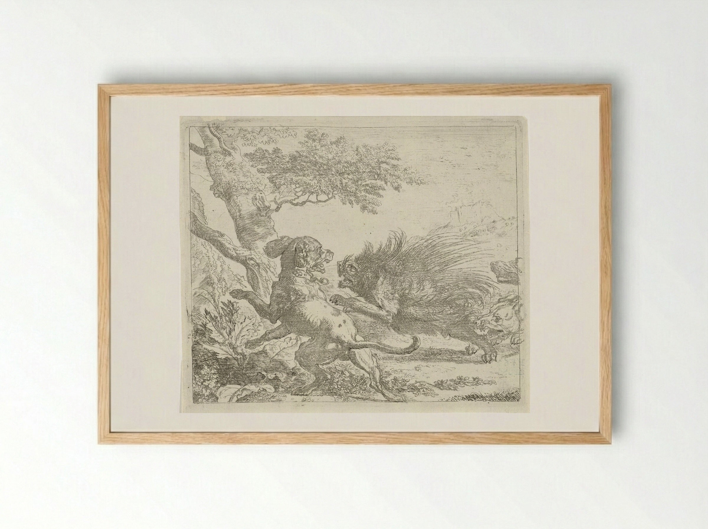 Stekelvarken door honden aangevallen - Abraham Daniëlsz. Hondius - Framed Print Wood