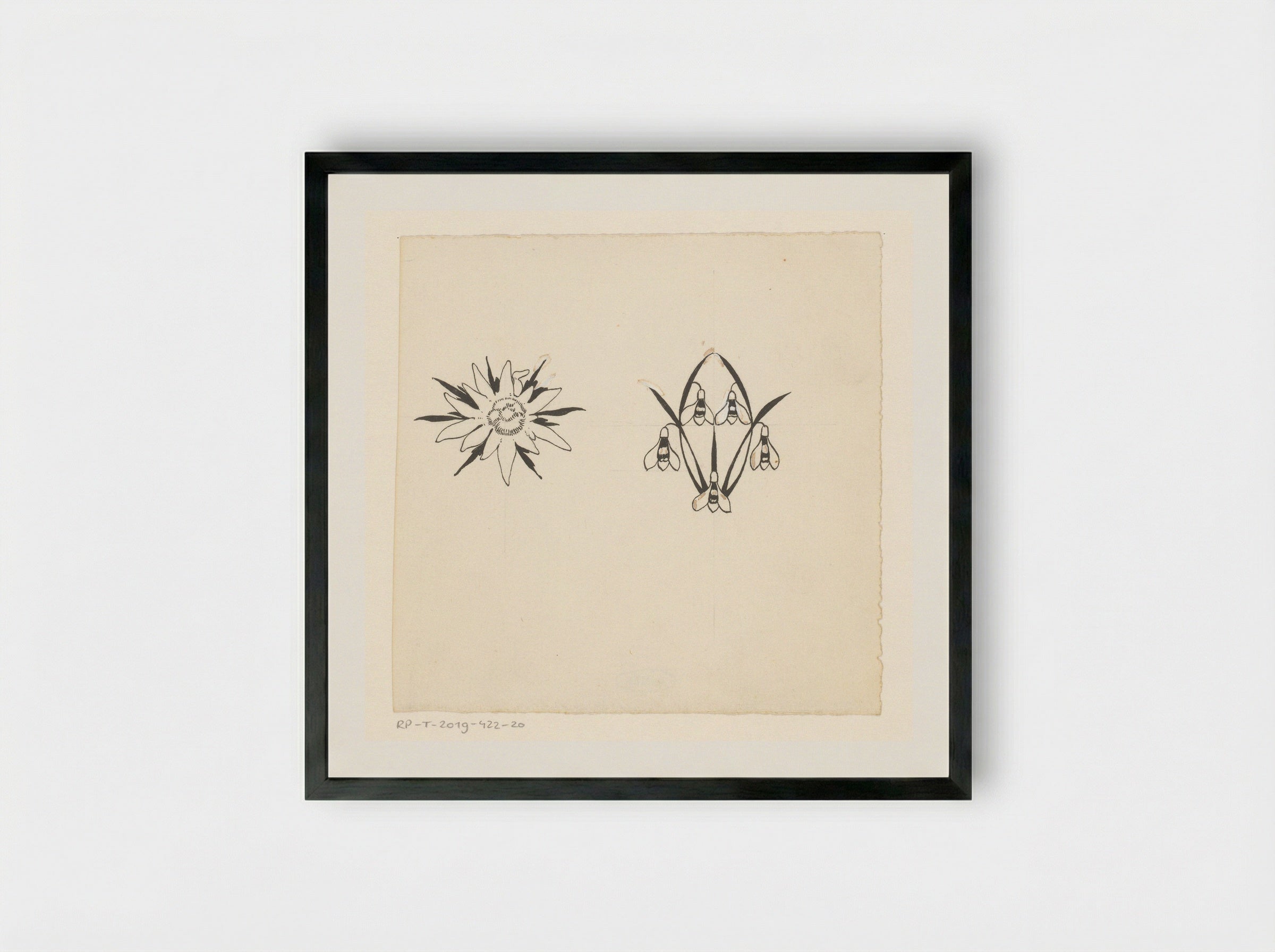 Stervormige bloem en sneeuwklokjes - Willem Wenckebach - Framed Print Black