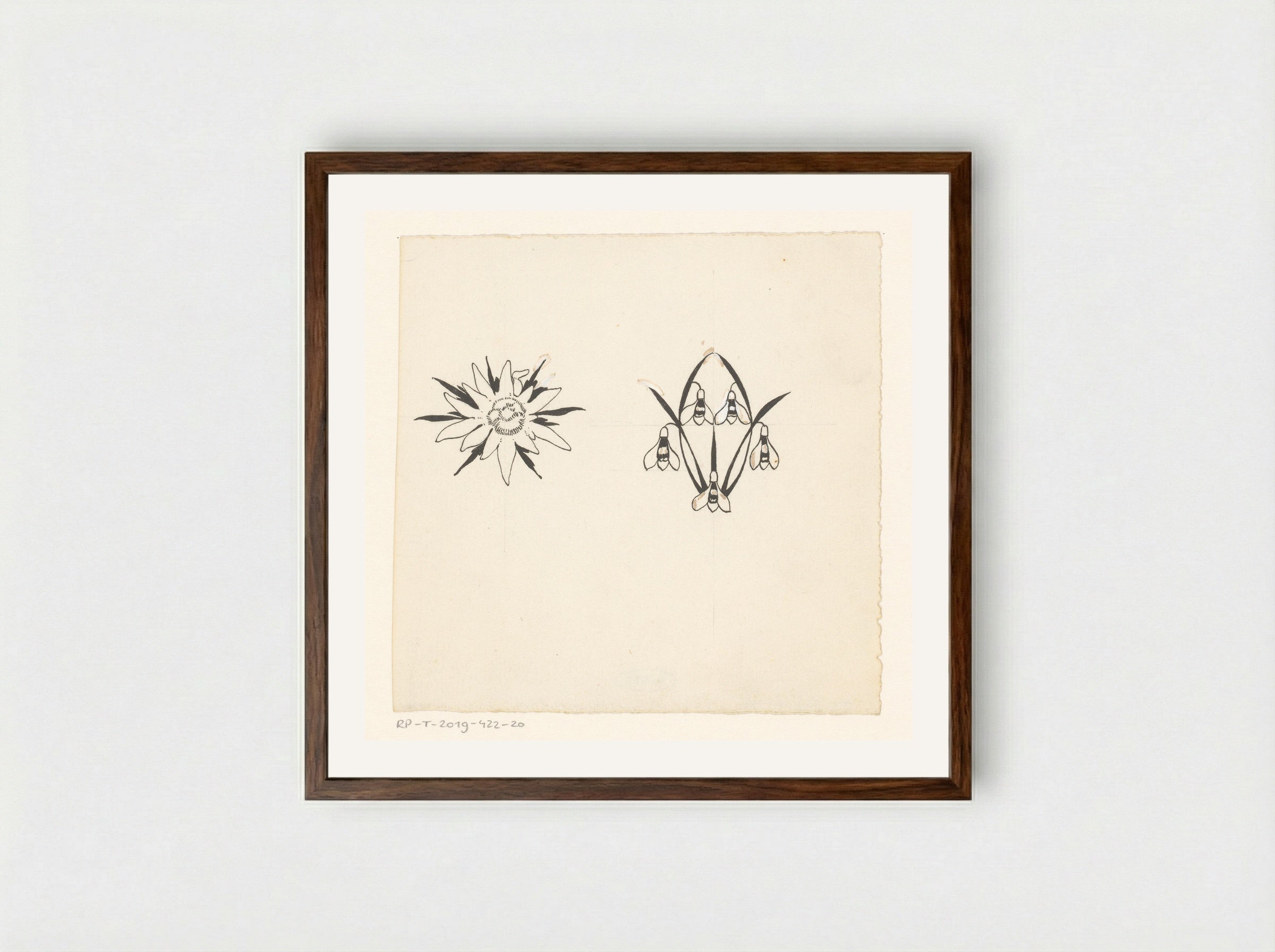 Stervormige bloem en sneeuwklokjes - Willem Wenckebach - Framed Print Dark Wood