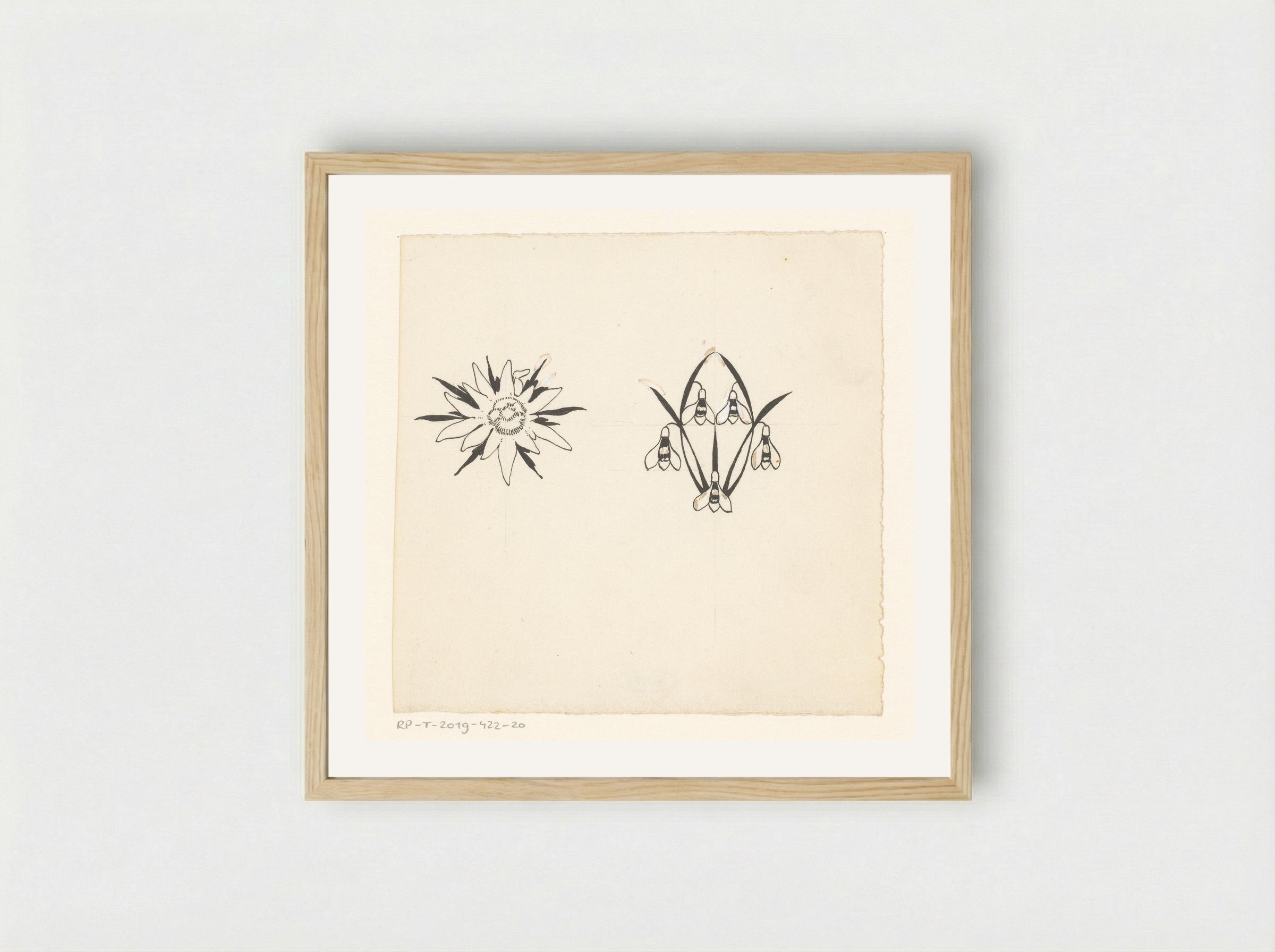 Stervormige bloem en sneeuwklokjes - Willem Wenckebach - Framed Print Wood