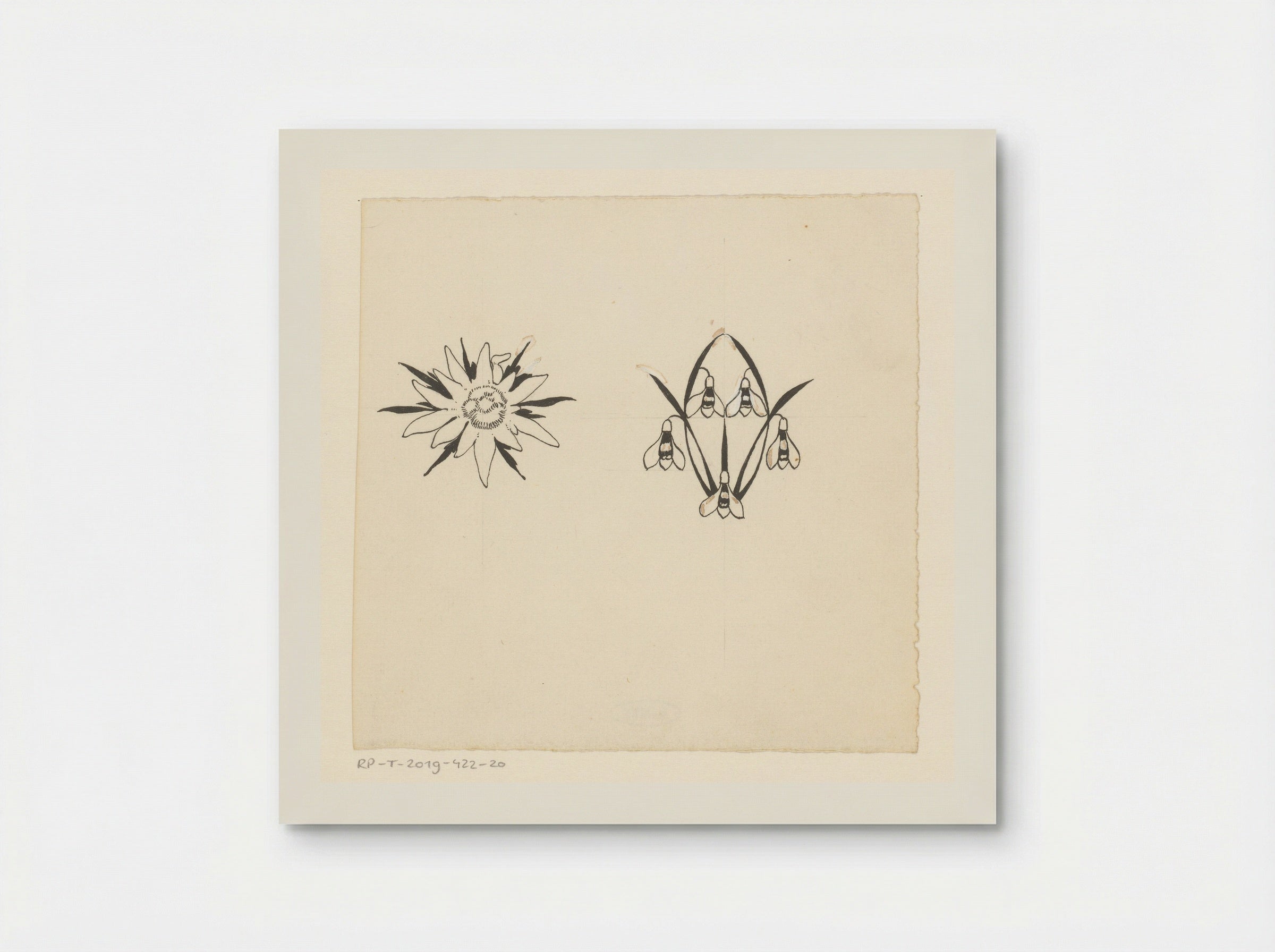 Stervormige bloem en sneeuwklokjes - Willem Wenckebach - Poster