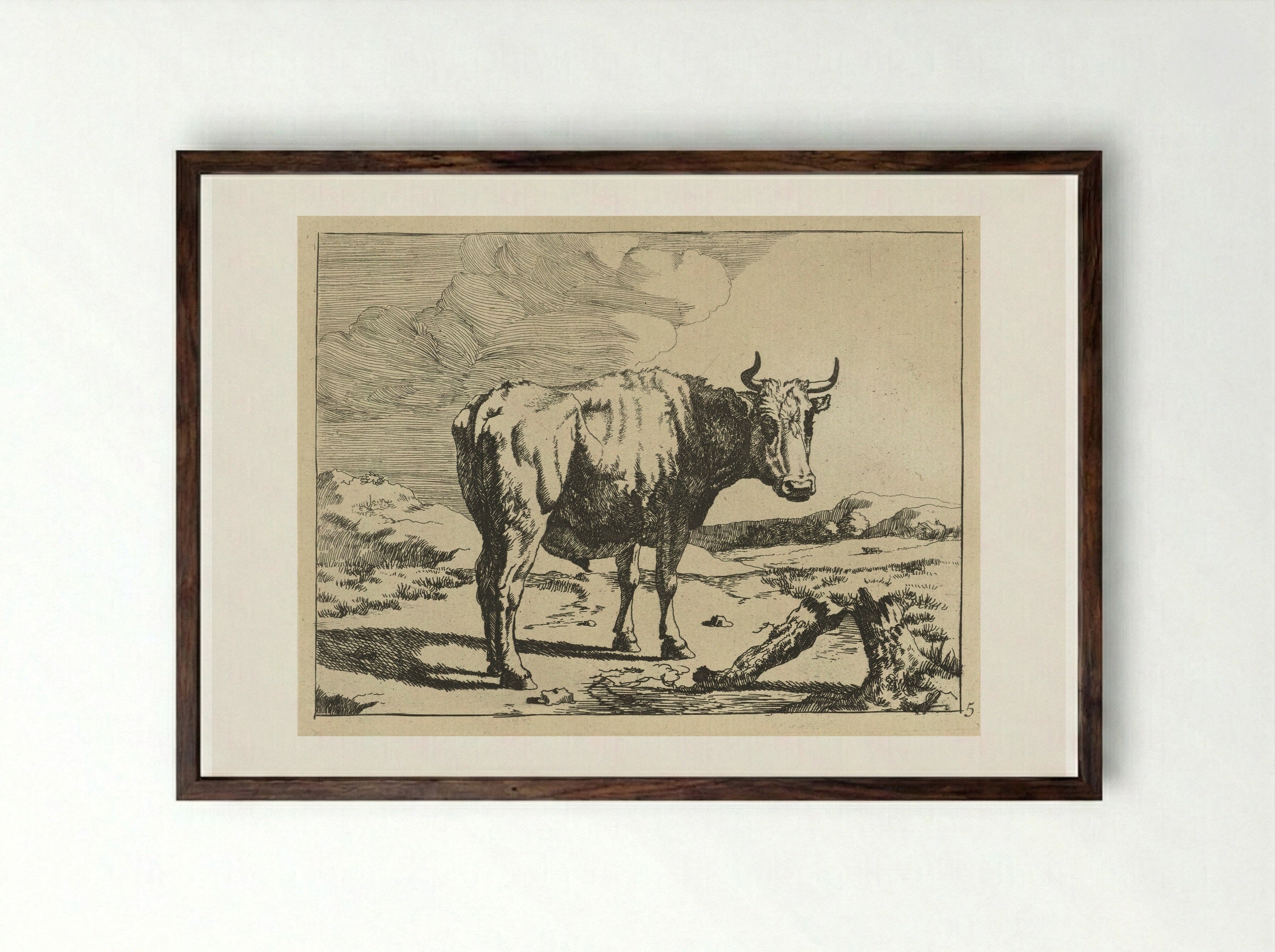 Stier staand bij boomstronk - Marcus de Bye - Framed Print Dark Wood
