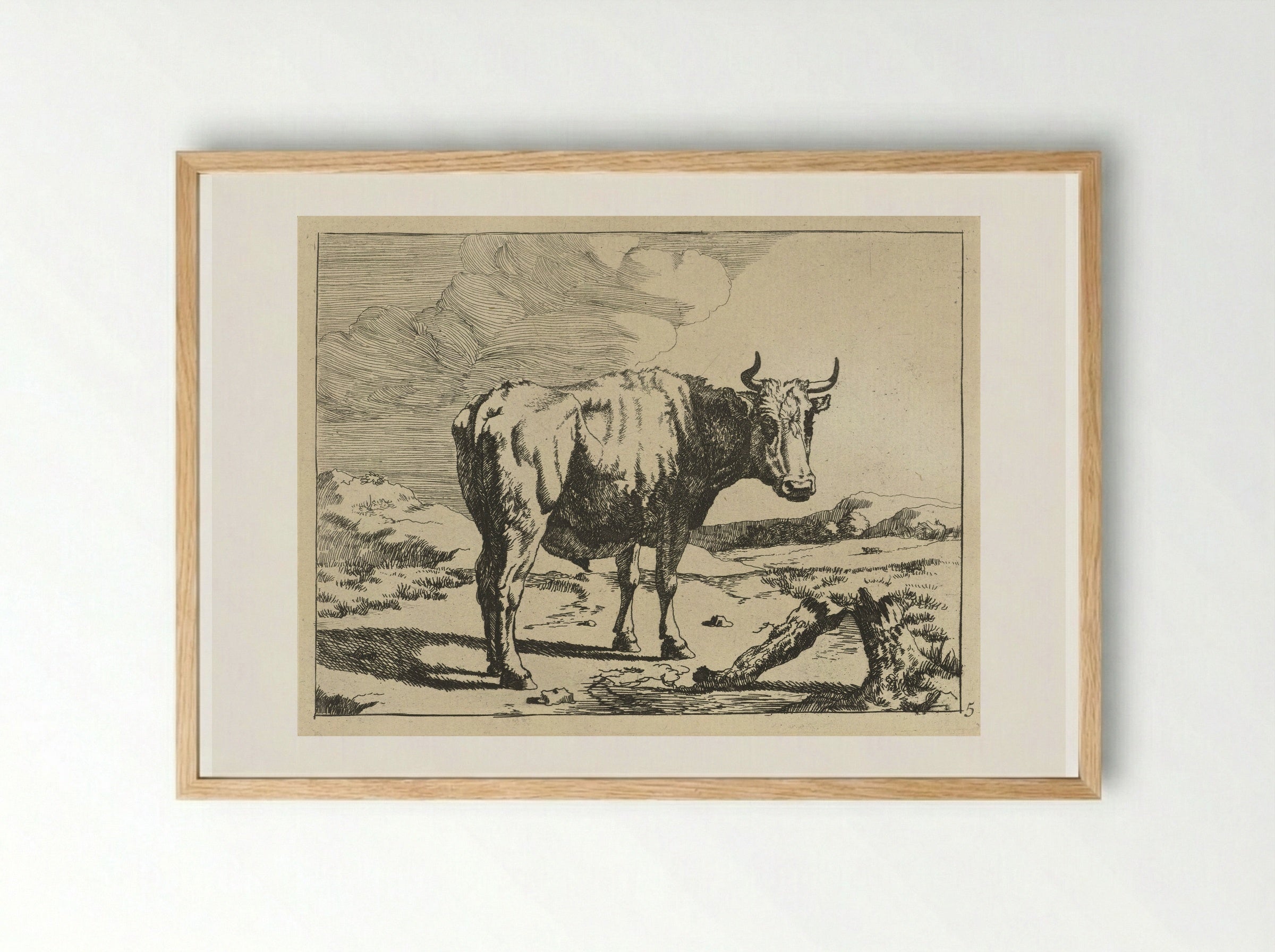 Stier staand bij boomstronk - Marcus de Bye - Framed Print Wood