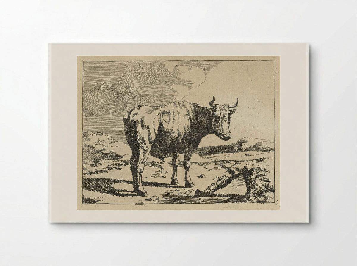 Stier staand bij boomstronk - Marcus de Bye - Poster
