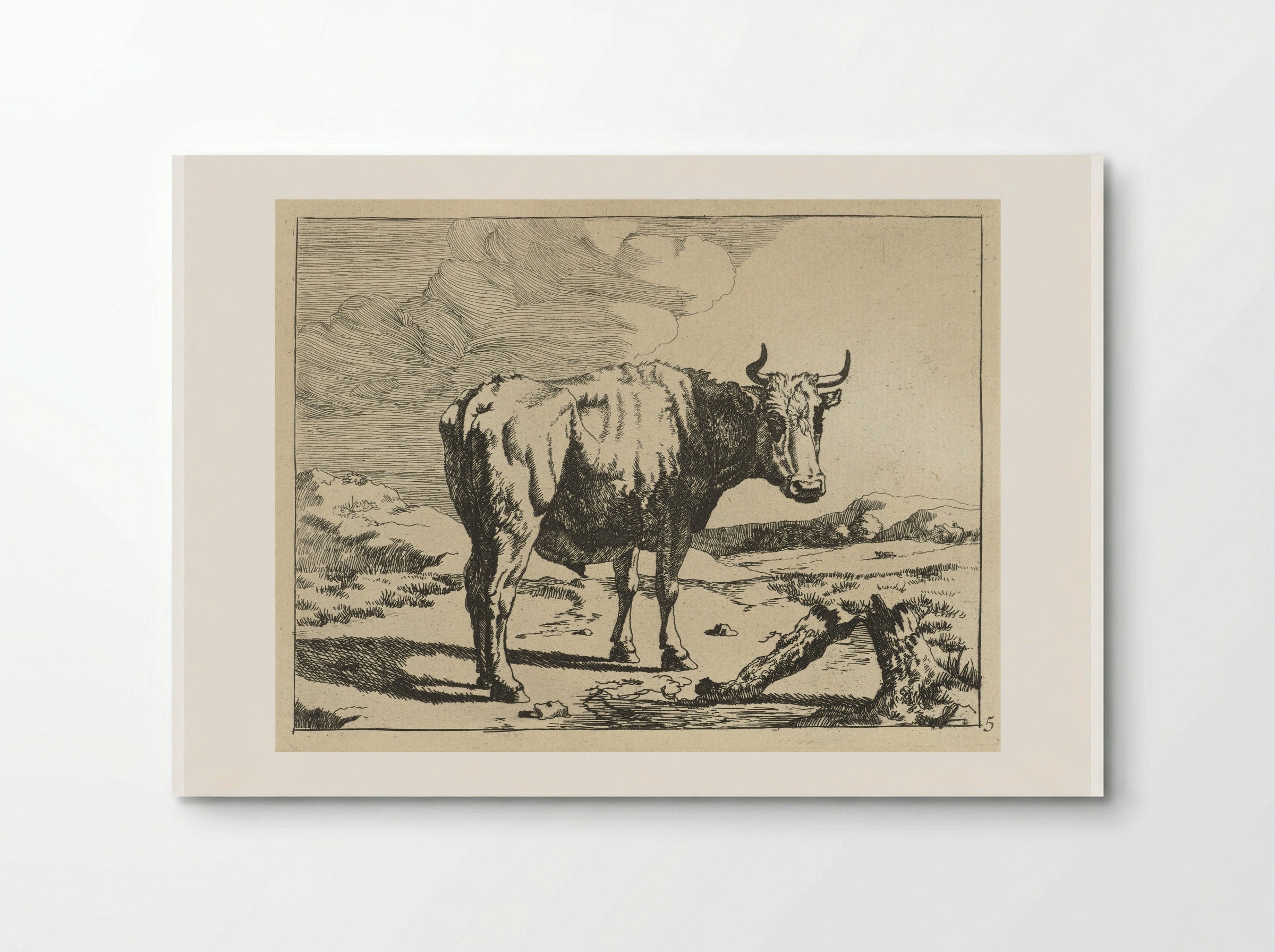 Stier staand bij boomstronk - Marcus de Bye - Poster