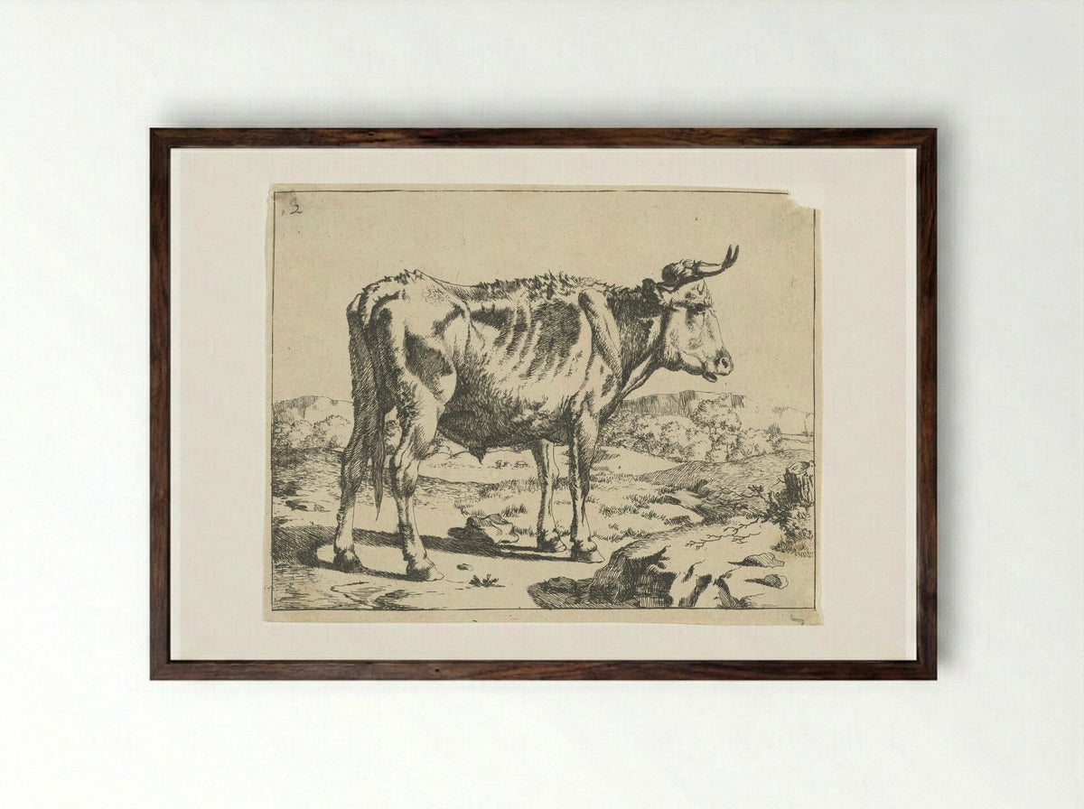 Stier staand bij rots - Marcus de Bye - Framed Print Dark Wood