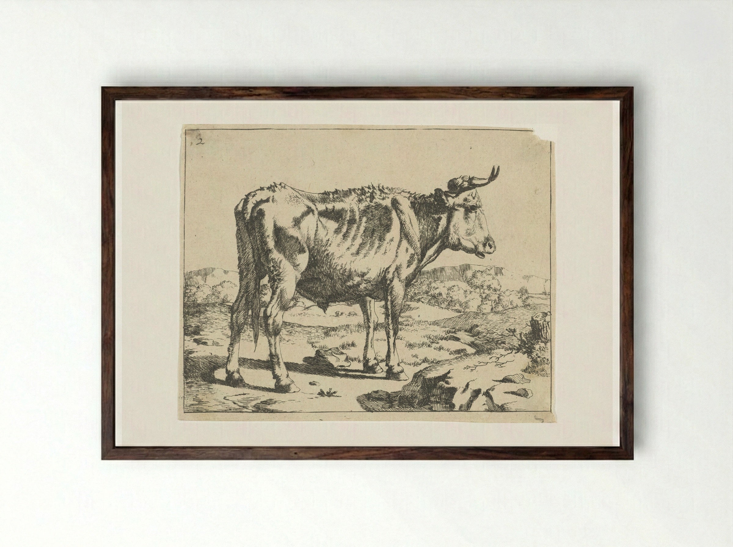 Stier staand bij rots - Marcus de Bye - Framed Print Dark Wood