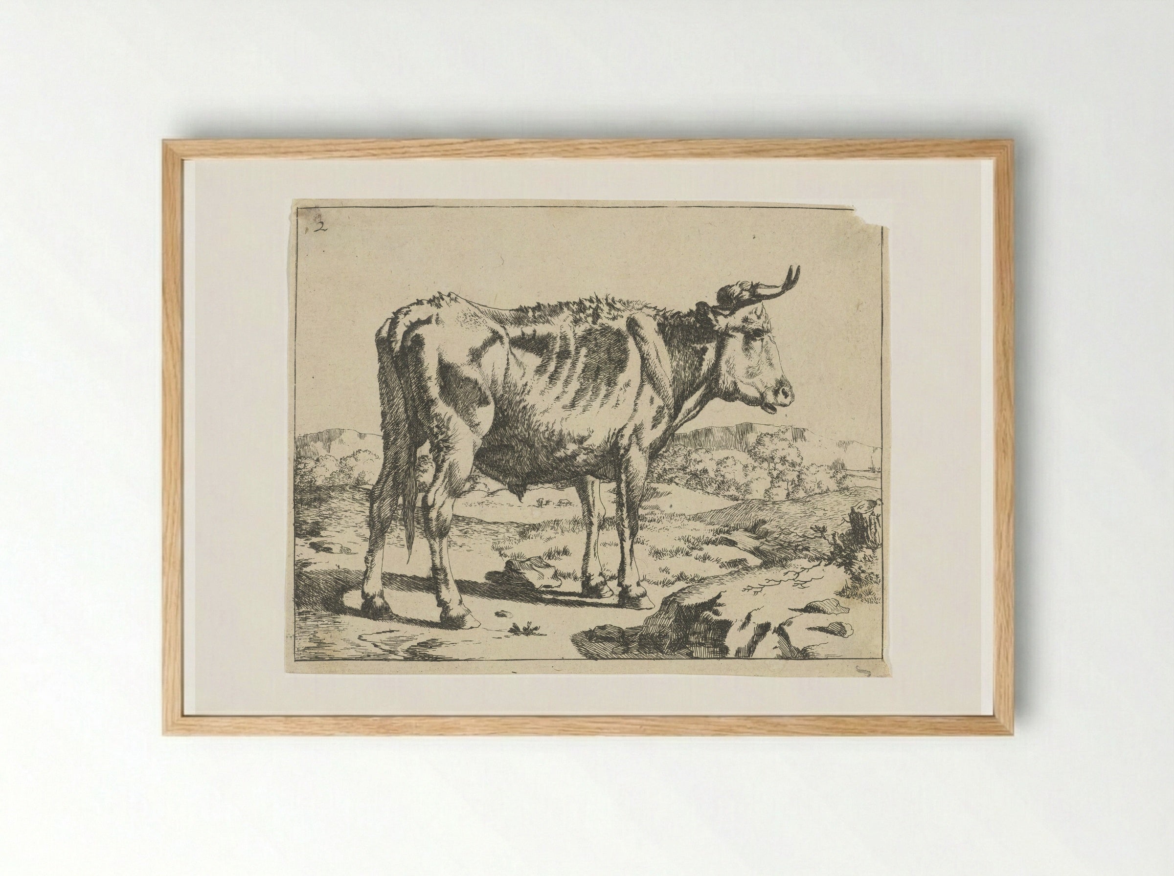 Stier staand bij rots - Marcus de Bye - Framed Print Wood