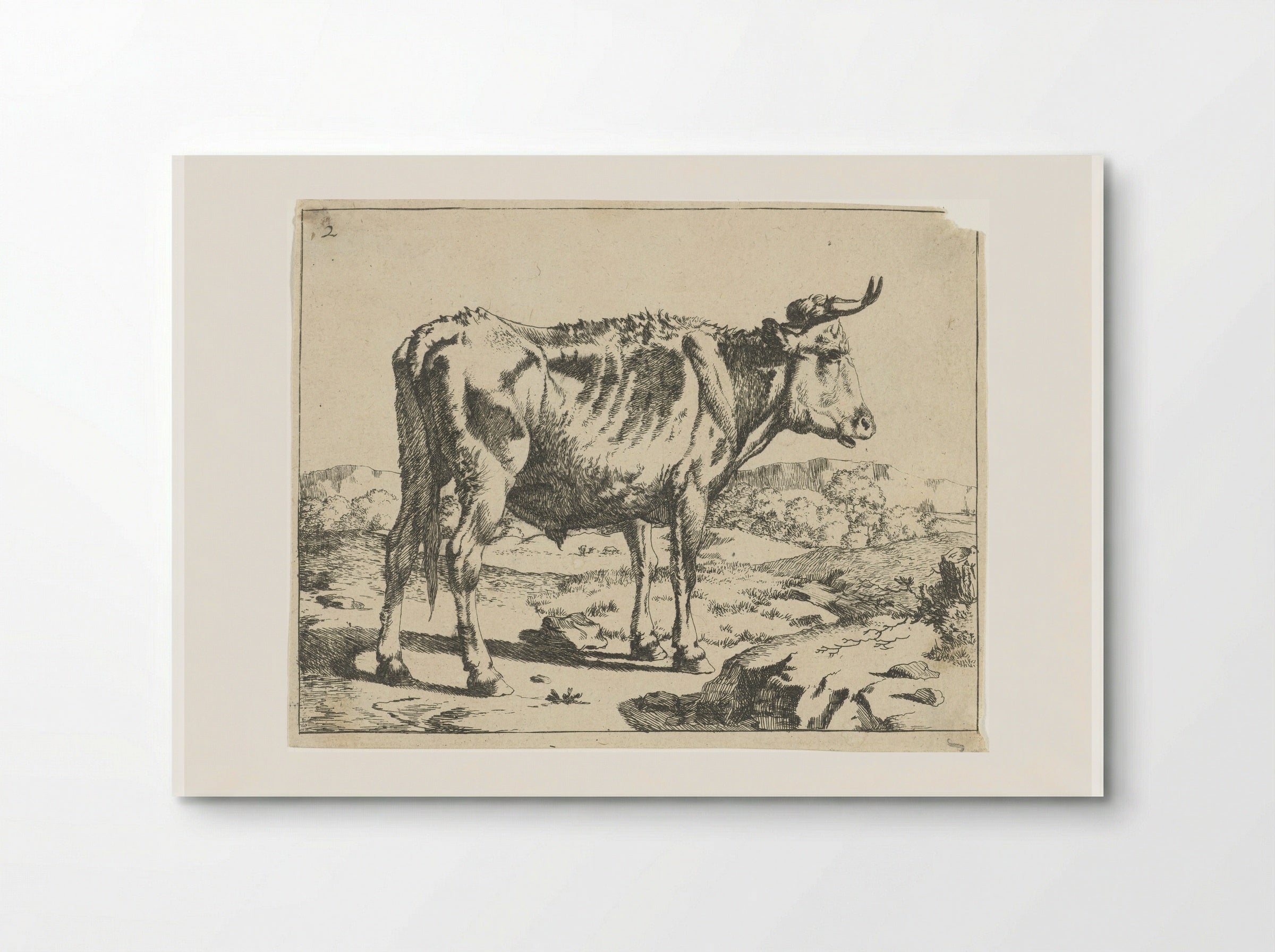 Stier staand bij rots - Marcus de Bye - Poster
